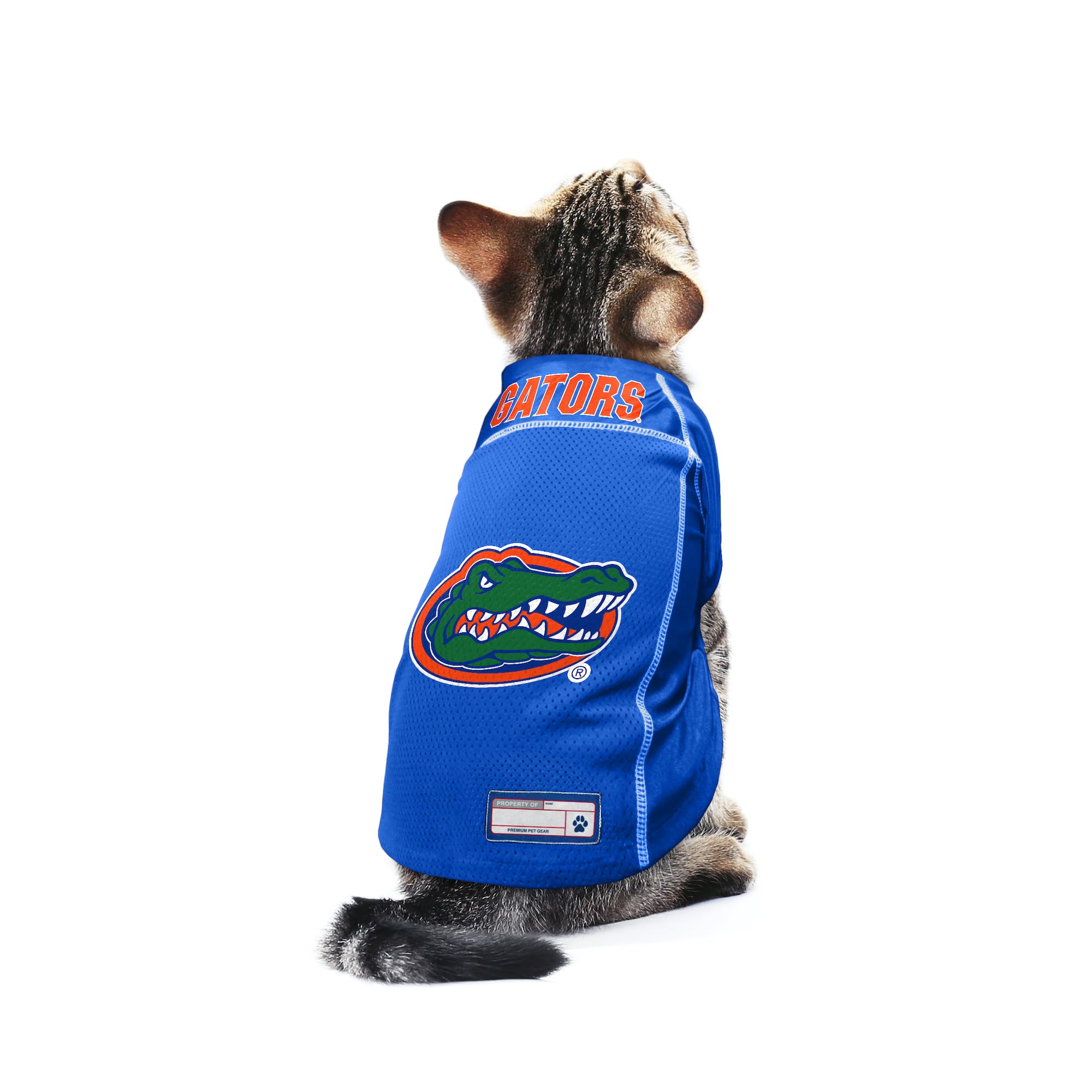 Littlearth Unisex-Adult Ncaa Florida Gators Basic Pet Jersey, Team Color, Medium