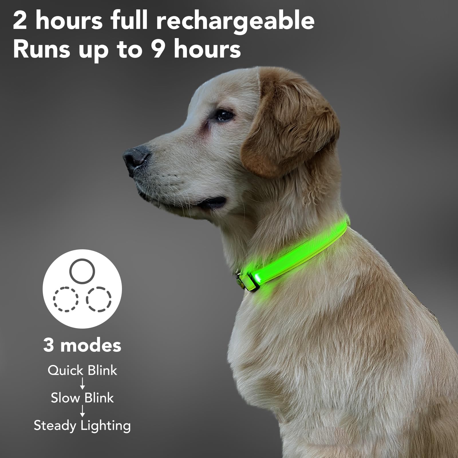 Pzrlit Led Light Up Dog Collars Micro Usb Rechargeable Waterproof, Full Adjustable Lighted Glow Dark Dog Collar Light For Night Walking For Small Medium Large Dogs, Green