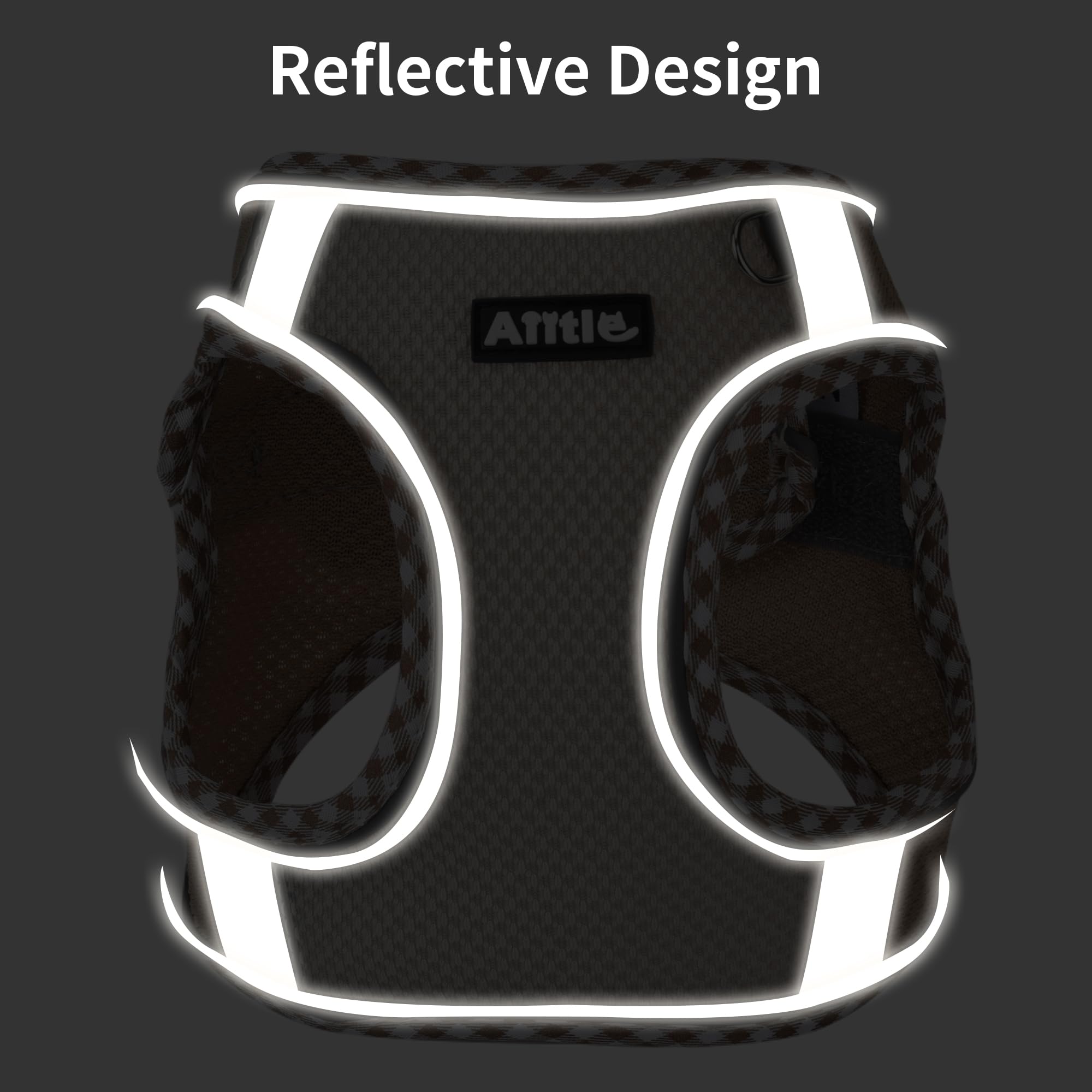 AIITLE Dog Harness and Leash Set - Ultra-Comfortable XXS-XL Vest with Strong Magic Tape & Glow-in-Dark Reflective Strips, Chafe-