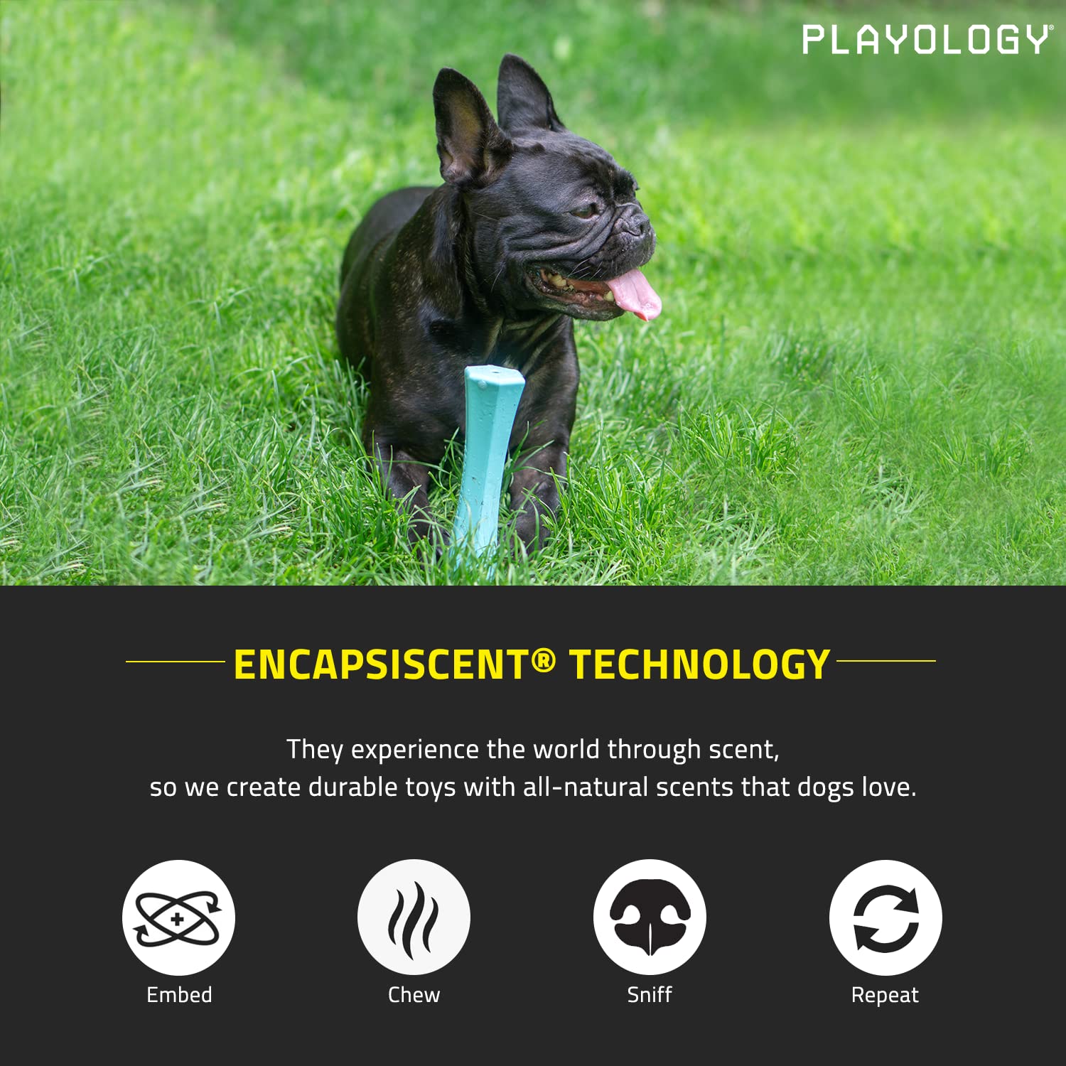 Playology Squeaky Chew Stick Dog Toy for Large Dogs - Peanut Butter Scented, Non-Toxic Rubber, Ideal for Moderate Chewers