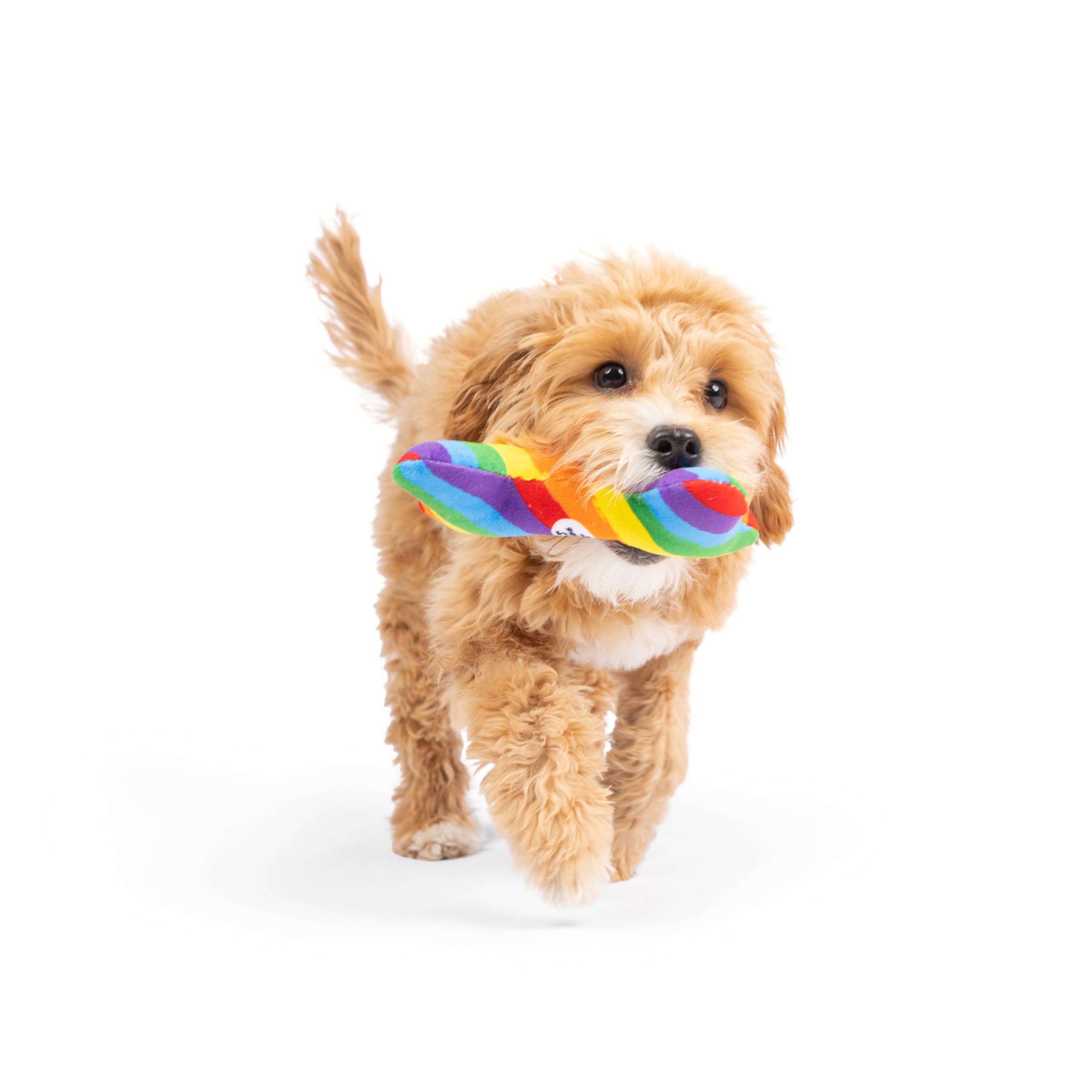 Huxley & Kent Funny Dog Toy - Squeaky Plush Equality Bone for Small Dogs, One Size, Rainbow, Durable Polyester, Model HK70068