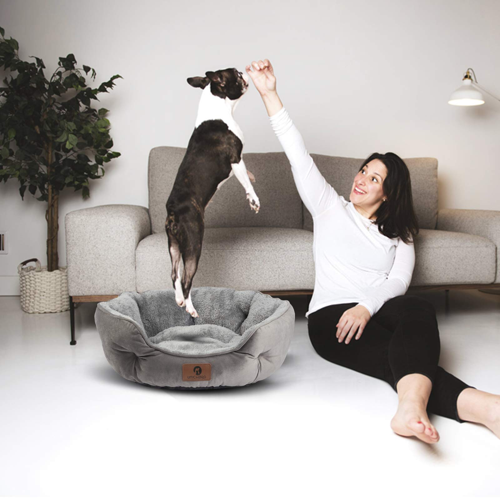 Asvin Medium Dog Bed - Soft Fleece Pet Bed for Dogs & Cats, Grey, 25 inches, Machine Washable, Anti-Slip, Water-Resistant