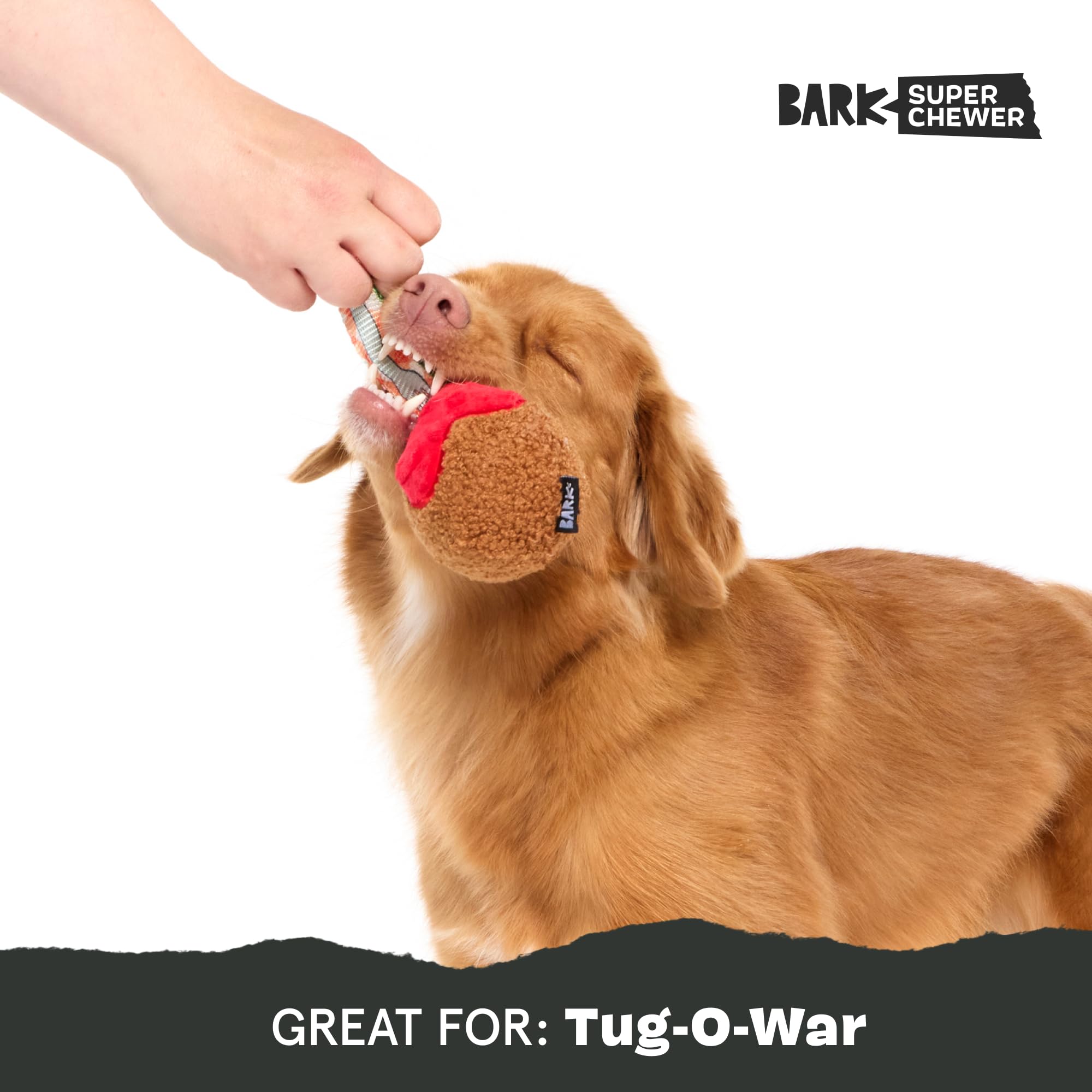 Barkbox Bark A Squeaky Meat -A-Ball Scented Rip & Reveal Dog Toy For Aggressive Chewers - Medium