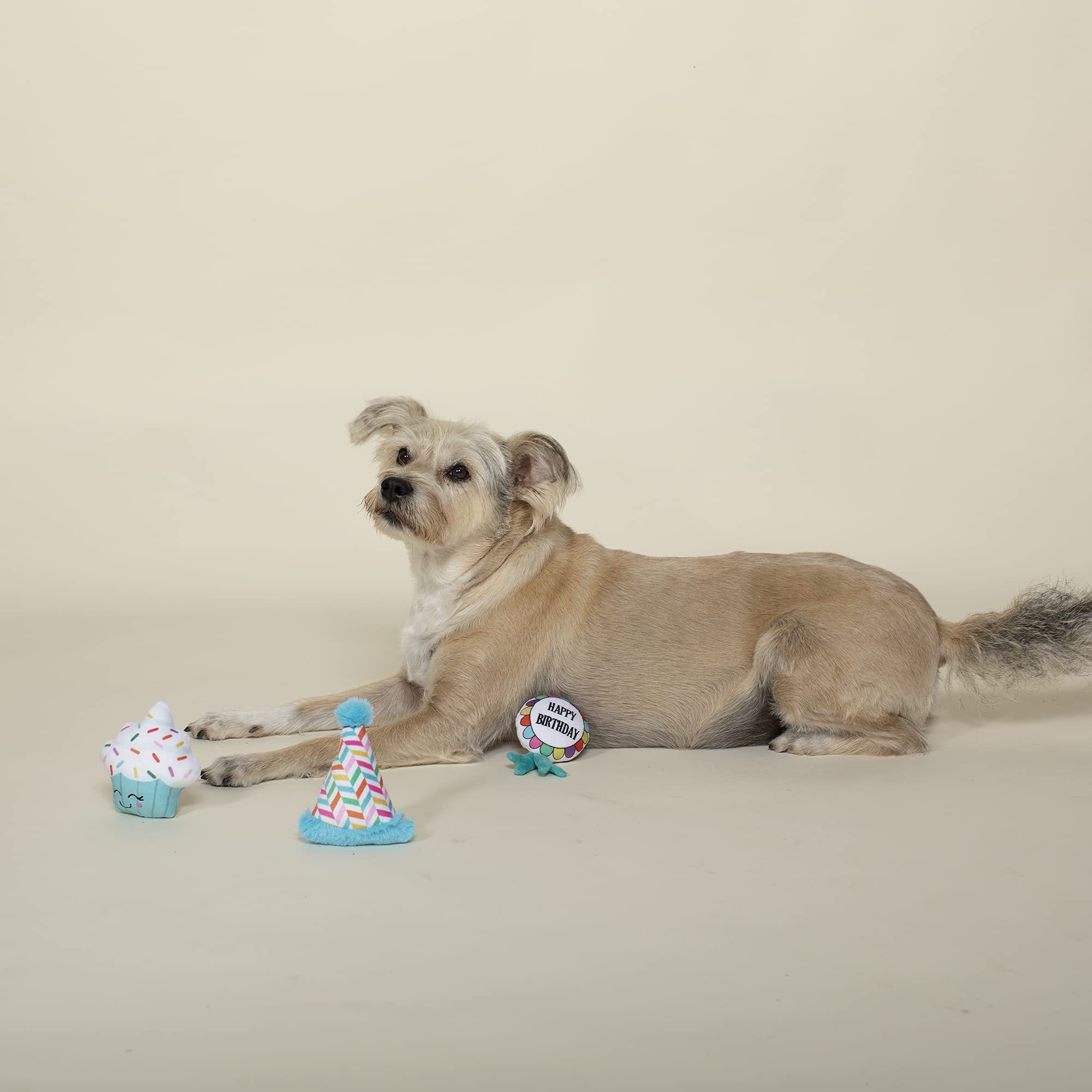 Fringe Studio Plush Dog Toy Set, Happy Bark-Day!, 3 Piece Set, For Small Dogs (289525)