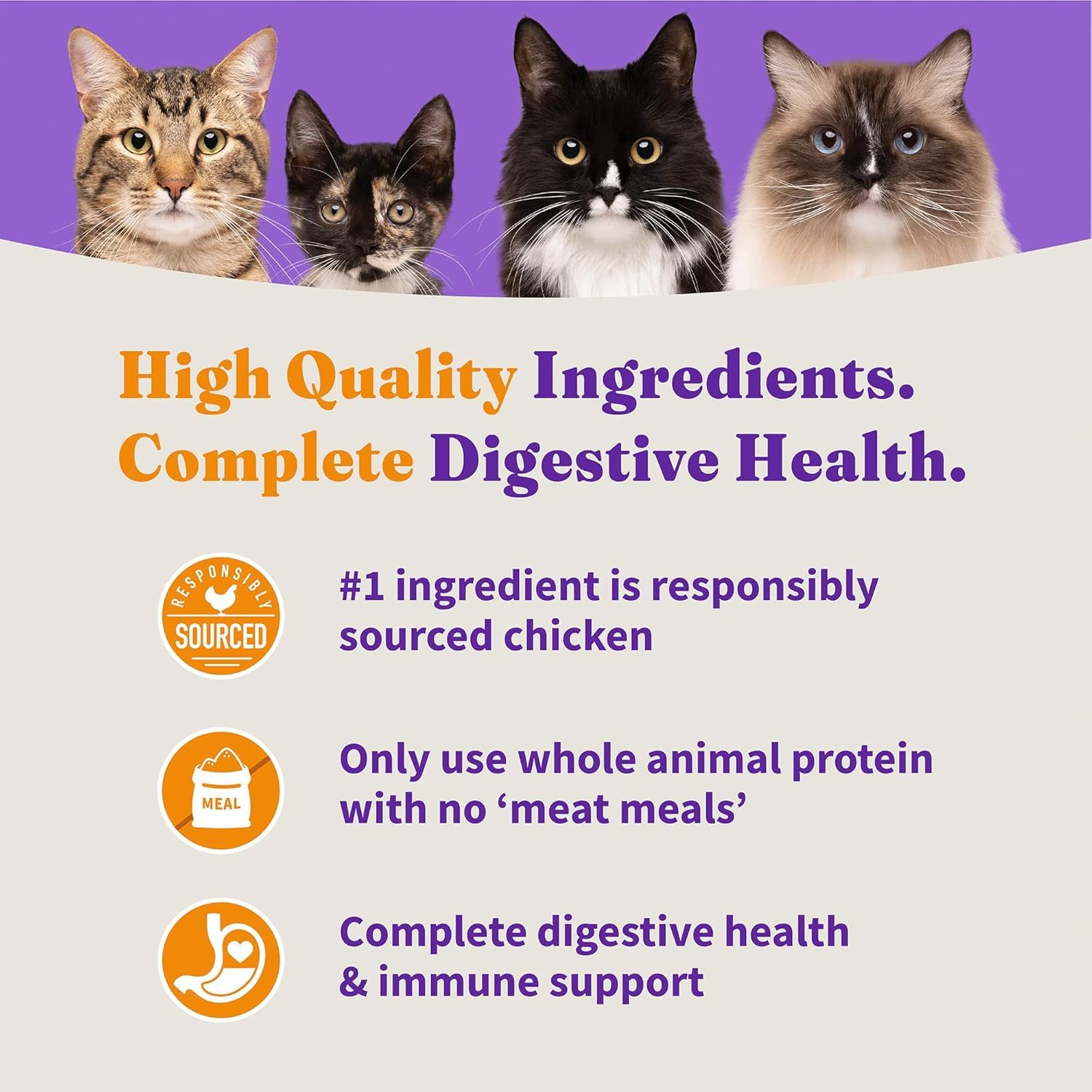 Halo Holistic Kitten Food, Cage Free Chicken Recipe, Grain Free Dry Cat Food, Complete Digestive Health, 6 lb Bag