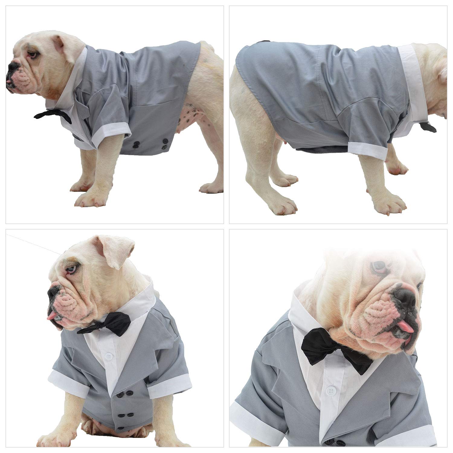Lovelonglong Bulldog Costume Dog Suit Formal Tuxedo With Black Bow Tie Wedding Clothes For Pugs/French Bulldog/English Bulldog/American Pit Bull Gray B-L