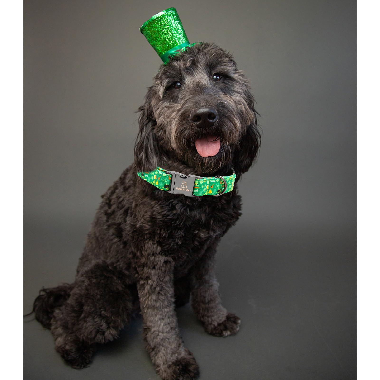 Lionheart Glory Dog Collar, Cotton, Lucky Clover & Beer, Adjustable, Xs-Xl, Handmade Bow, For Small Dogs