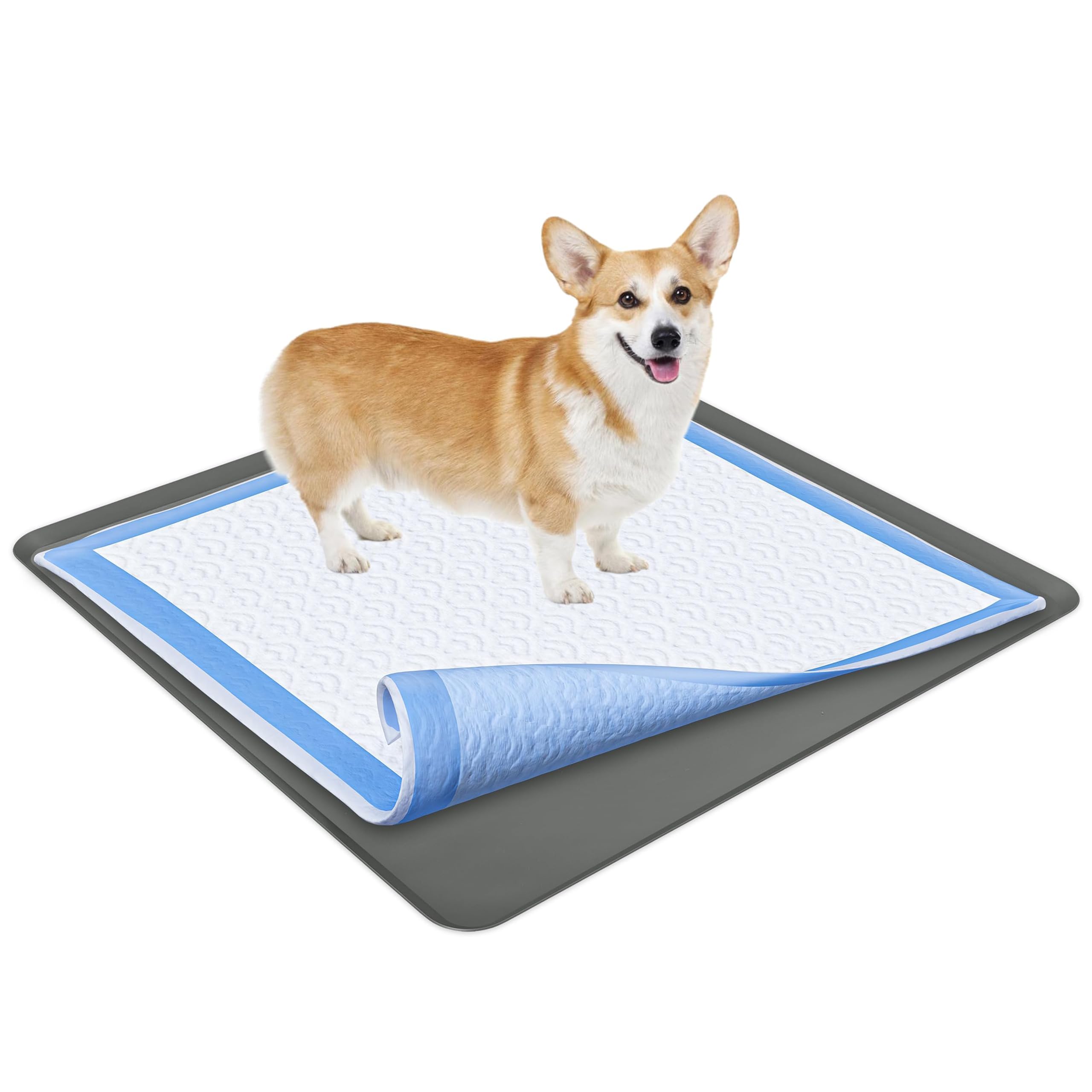 Tidyfriend Dog Pad Holder Tray 36 X 36 Inches - Silicon Wee Wee Pad For Training, No Spill Pee Pad For Dogs - Easy To Clean And 