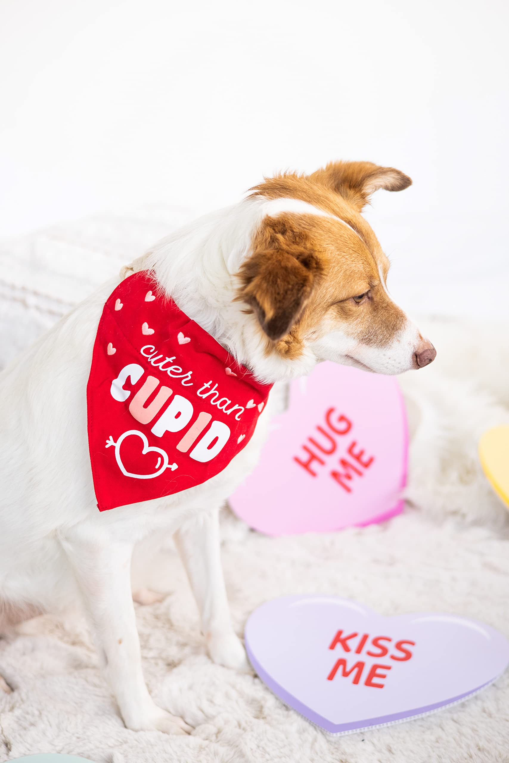 Pearhead Holiday Pet Bandana, Valentine'S Day Outfit For Pets, Slide-On Bandana, Dog Or Cat Apparel Accessory, Cuter Than Cupid, Small/Medium, S/M