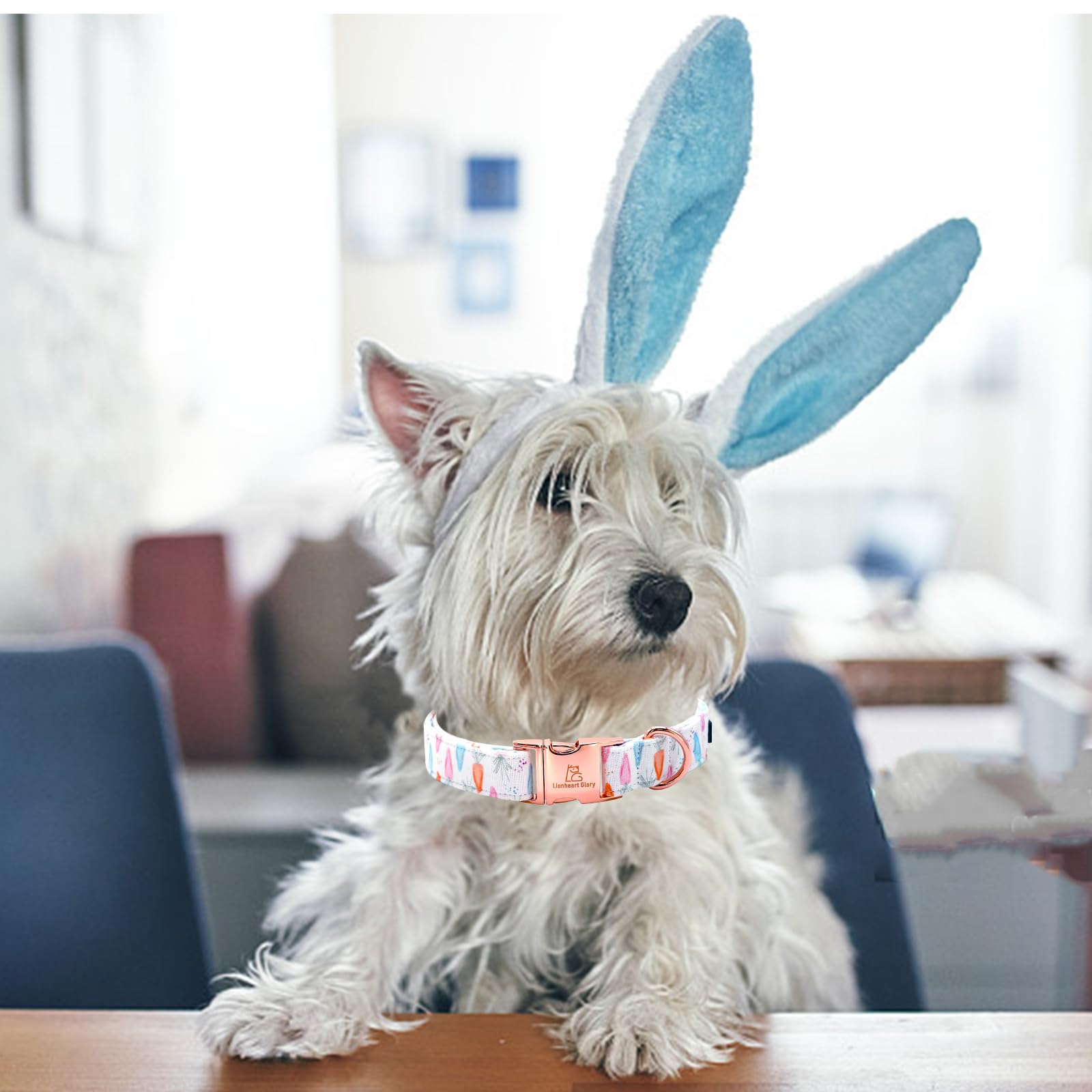 Lionheart Glory Easter Collar Carrot Print Dog Collar For X-Small Cute Dog Collars Spring Female Or Male Pet Gift Adjustable Hea