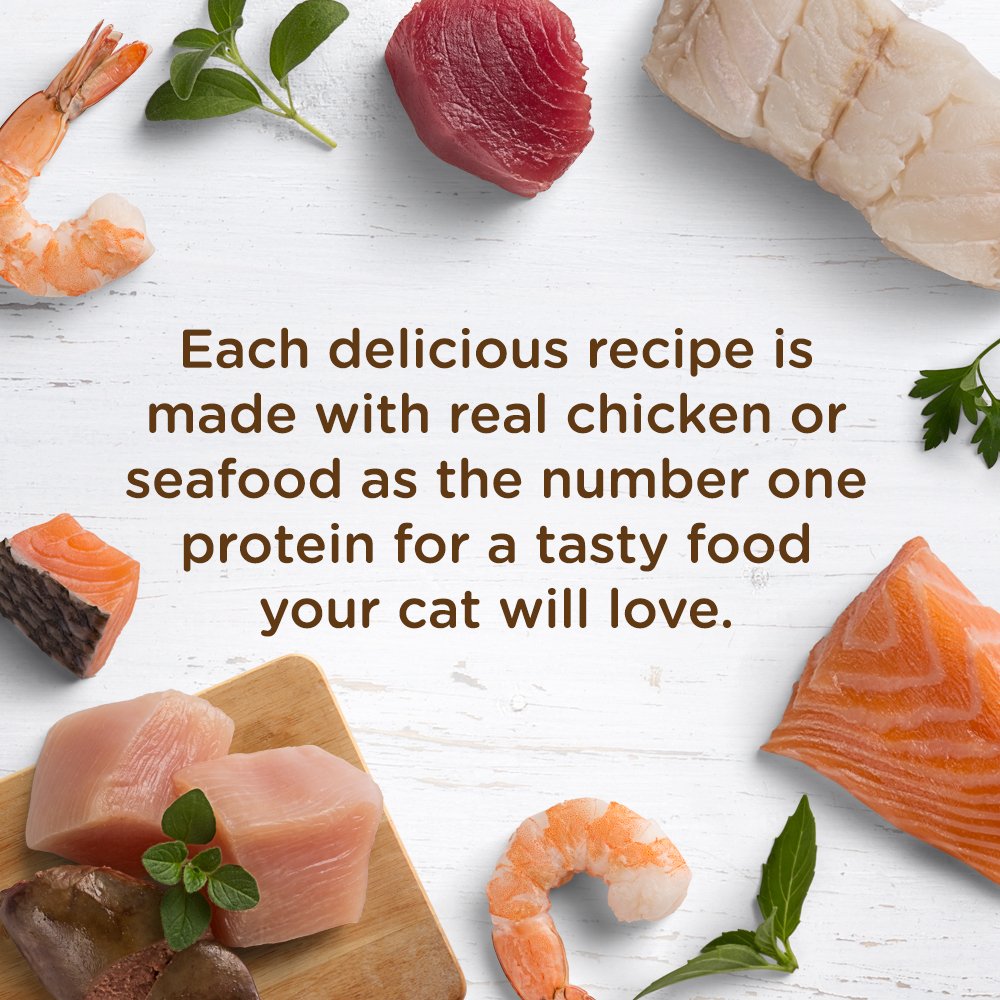 Rachael Ray Nutrish Wet Cat Food, Ocean Fish-A-Licious, 2.8 oz Cup (Pack of 12), Grain Free, with Added Vitamins & Minerals
