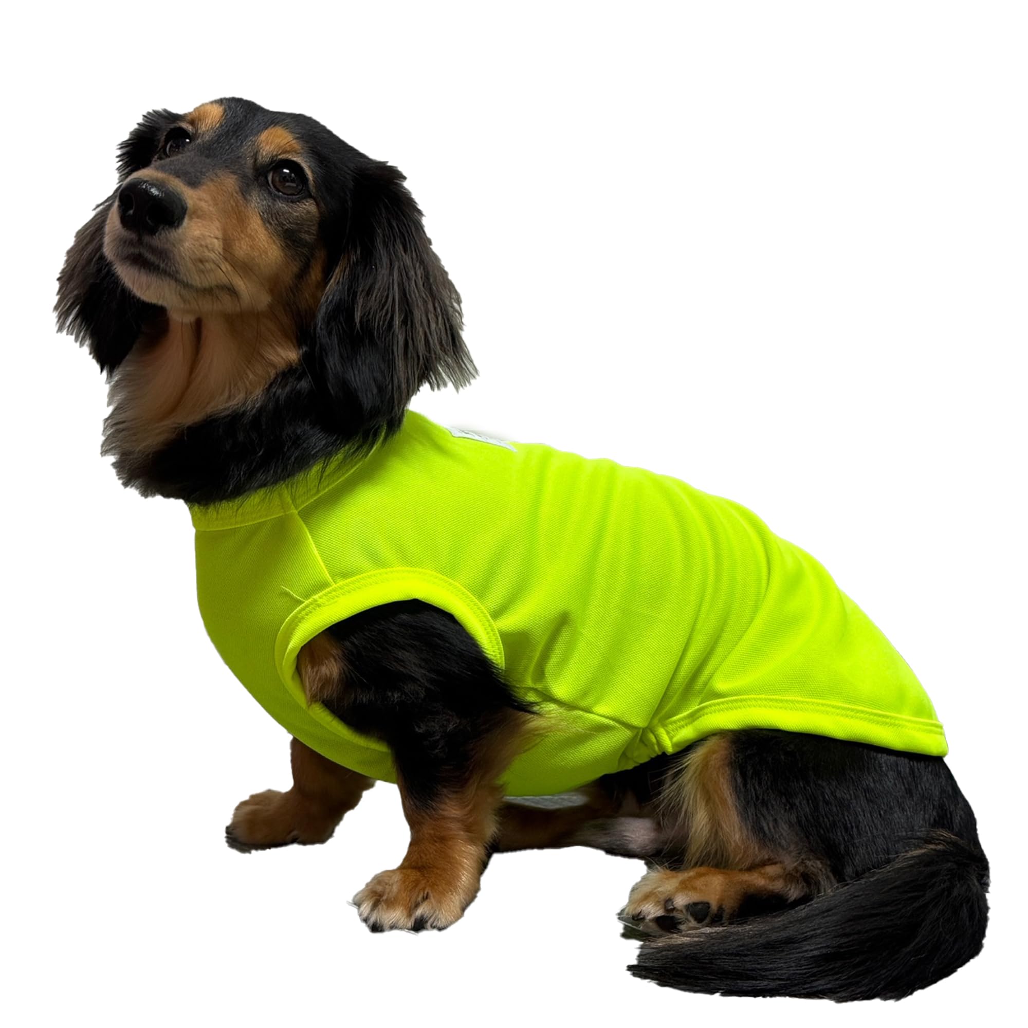 D Doggy Star Dachshund Clothes For Dogs Mini And Adults Neon T Shirts (Xl,Neon Yellow)