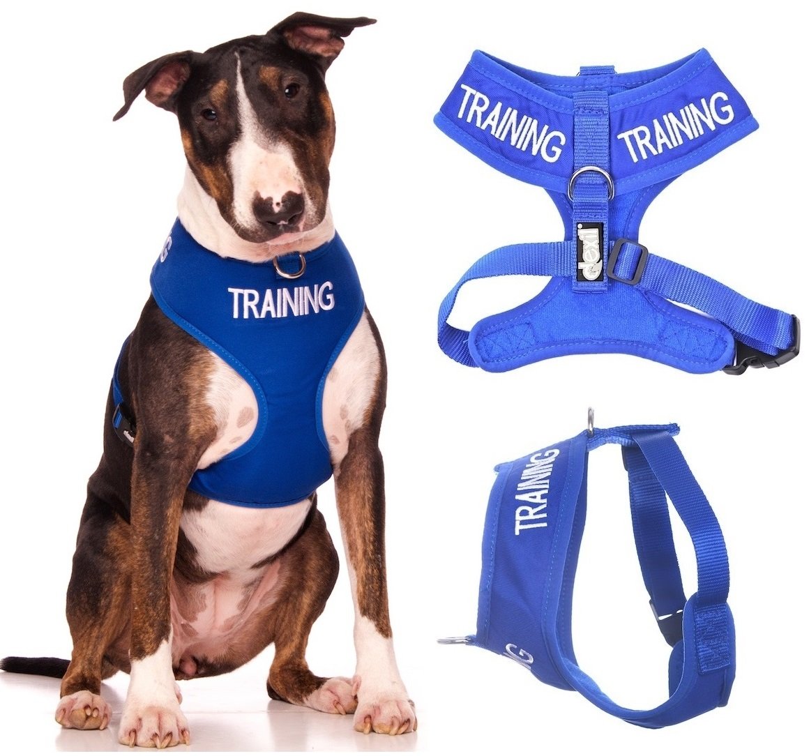 Training (Dog In Training/Do Not Disturb) Blue Colour Coded Non-Pull Front And Back D Ring Padded And Waterproof Vest Dog Harnes