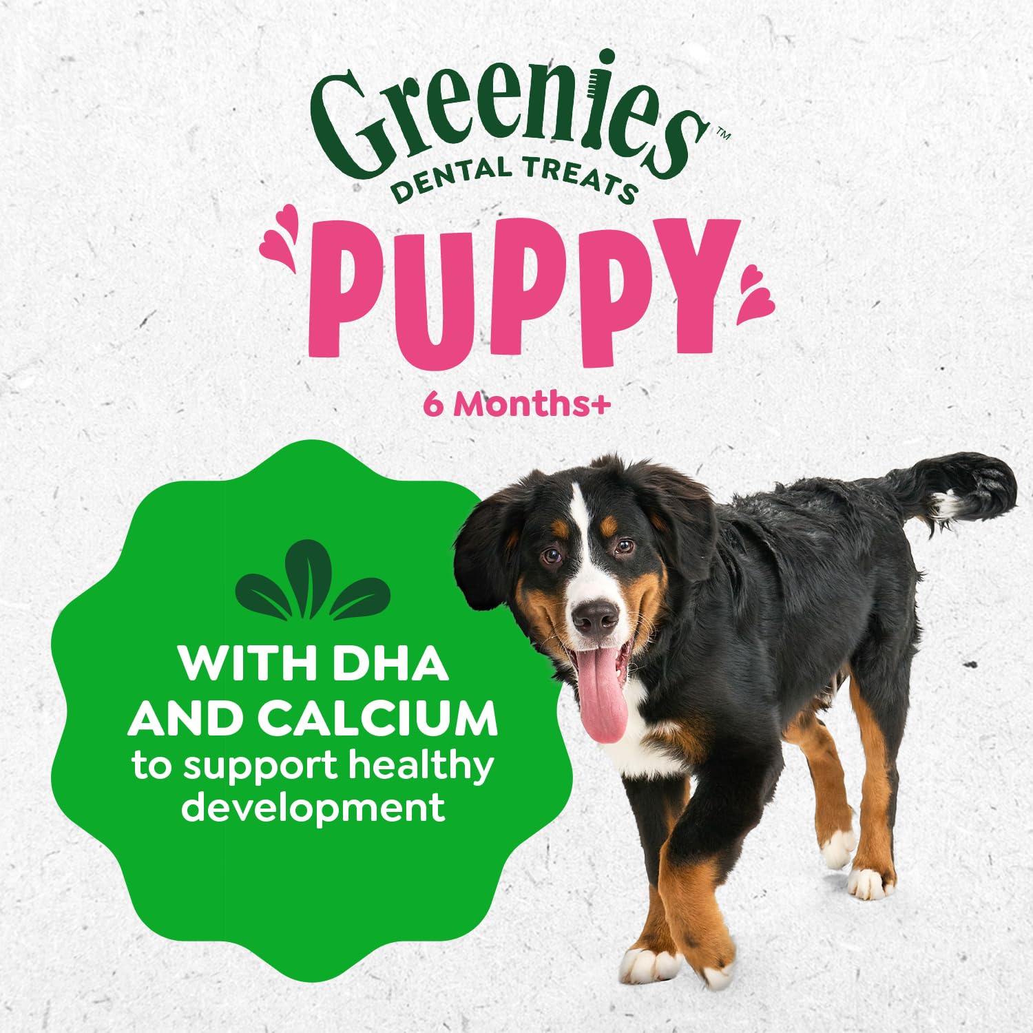 Greenies Puppy Regular Size Natural Dental Dog Treats, 6 oz. Pouch (6 Treats)