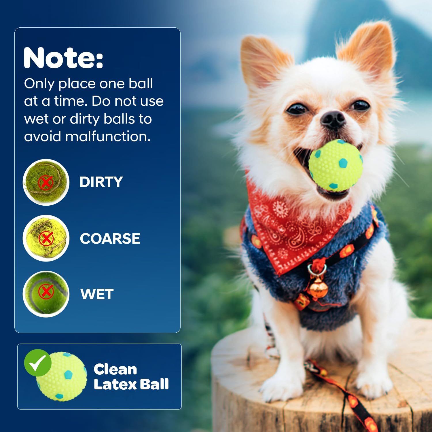 JolyBay Automatic Small Dog Ball Launcher - Remote Control Fetch Machine for Medium Dogs, White, Includes 6 Washable Balls, Training Clicker