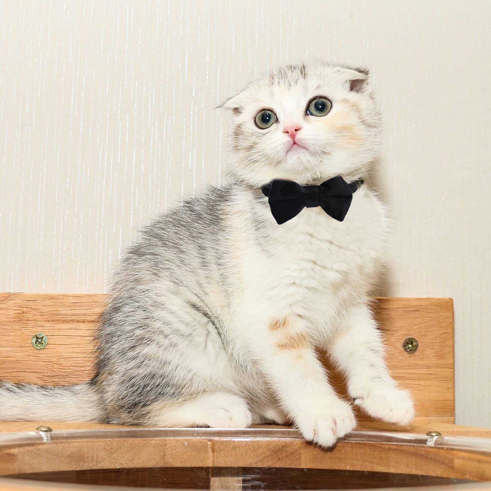 2 Pcs Velvet Cat Collar With Bell And Bowtie, Adjustable Breakaway Cat Collars Kitten Small Puppy Safety Bow Tie Solid Wedding Basic Color Cat Bow Tie Collar