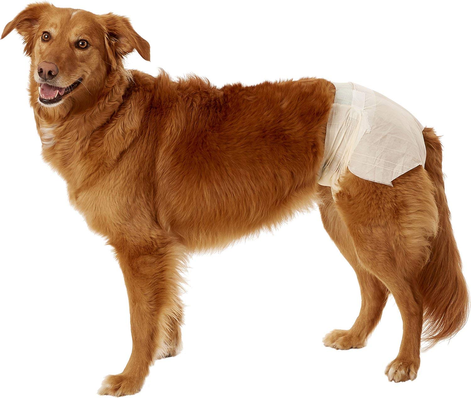Dogit Disposable Diapers, X-Large, 12-Pack