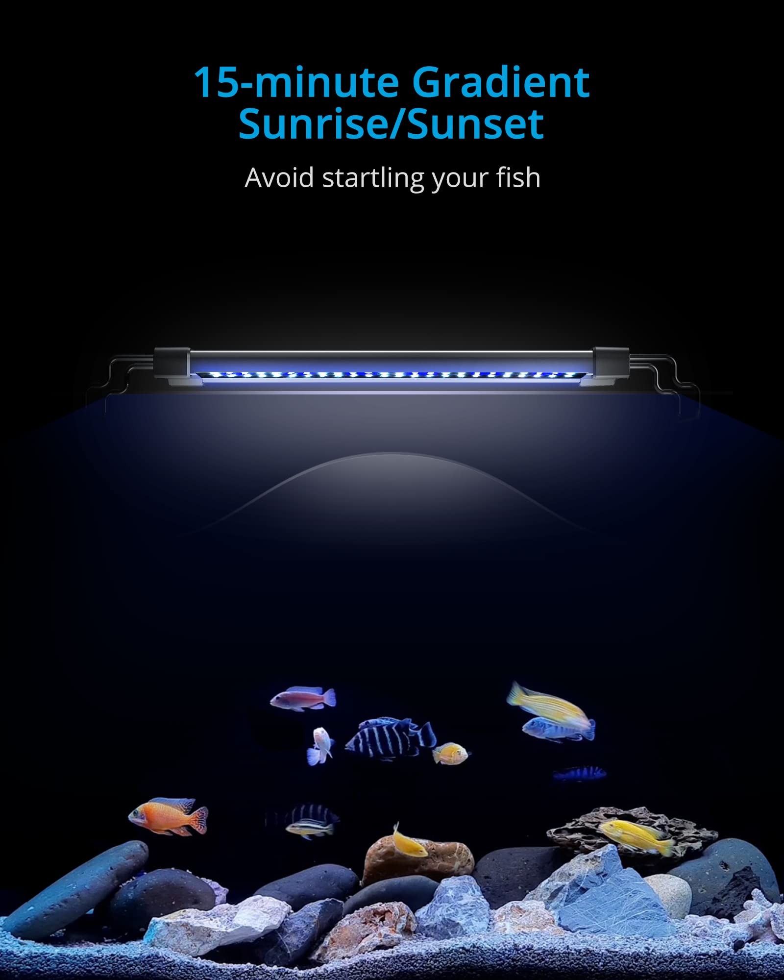 Nicrew Classicled Gen 2 Aquarium Light, 40 Watts, Dimmable Led Fish Tank Light With 2-Channel Control, White And Blue Leds, Size