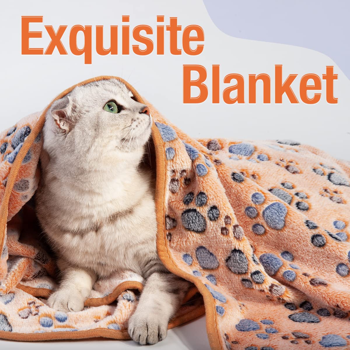Pet Soft 1 Pack 3 Pet Blankets For Dogs - Fluffy Cats Dogs Blanket For Small Medium & Large Dog, Cute Print Pet Throw Puppy Blan
