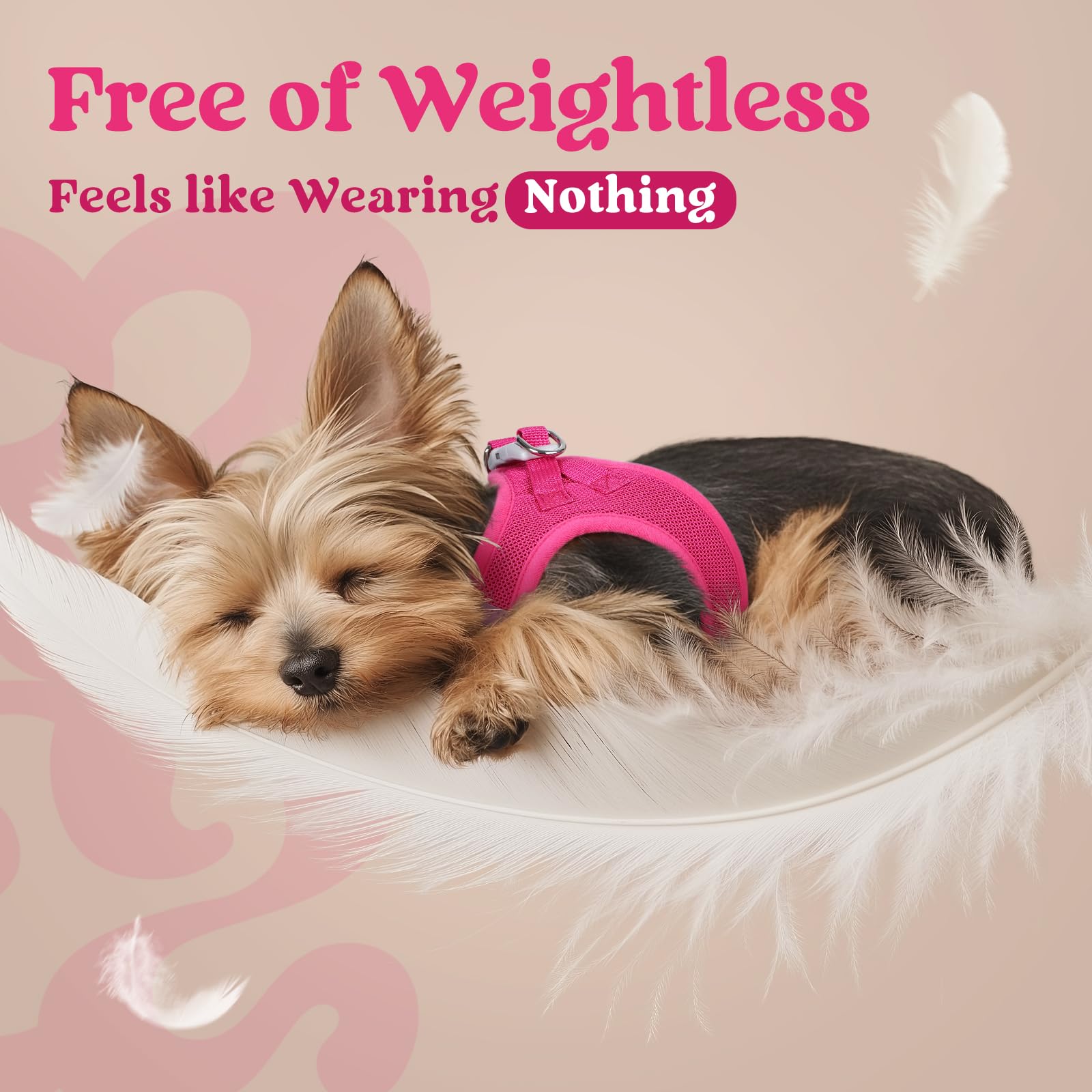 Rabbitgoo Small Dog Harness, Step-In Soft Mesh Puppy Vest, Easy Walk With Safety Buckle, Breathable Reflective Pet Harness For S