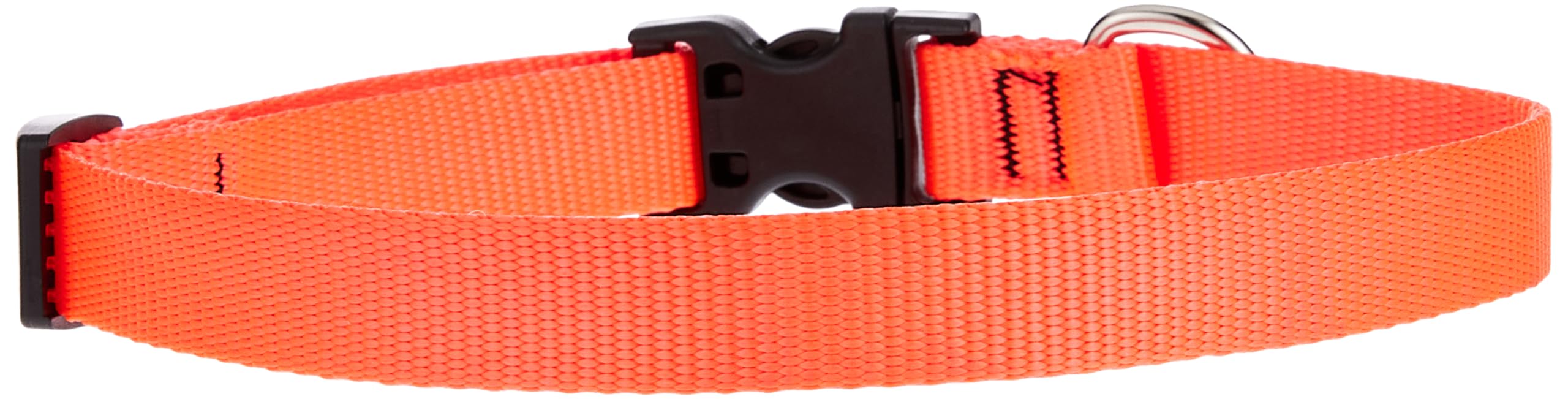 LupinePet Basics 3/4 Blaze Orange 13-22 Adjustable Collar for Medium and Larger Dogs