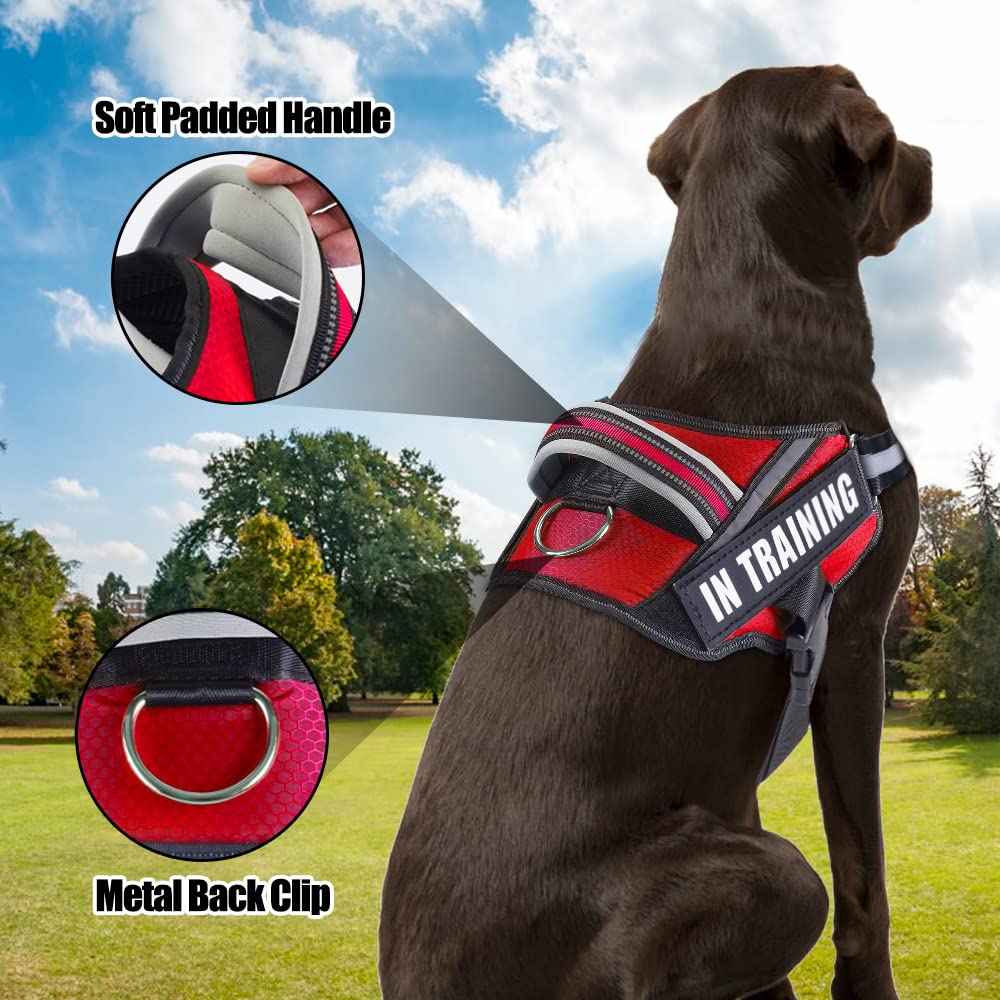 Service Dog Vest Harness And Leash Set, Animire In Training Dog Harness With 8 Dog Patches, Reflective Dog Leash With Soft Padded Handle For Small, Medium, Large, And Extra-Large Dogs (Red,M)