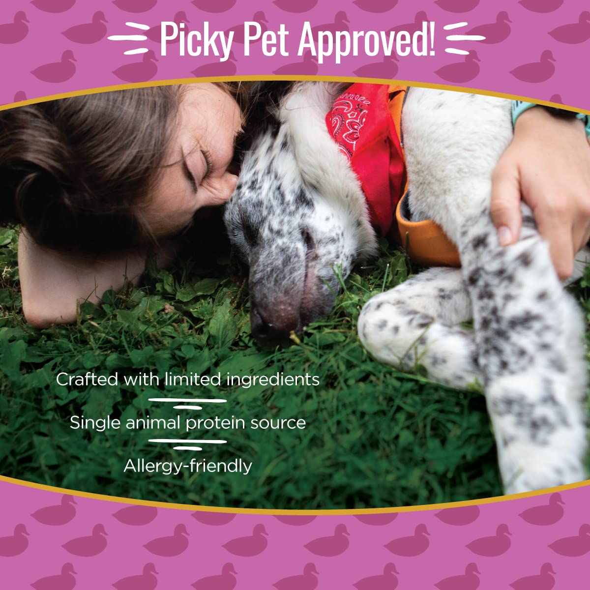 Smart Cookie Duck Jerky Dog Treats with Flax Seed, Omega Oils- Hypoallergenic Strips for Dogs and Puppies with Allergies, Sensit