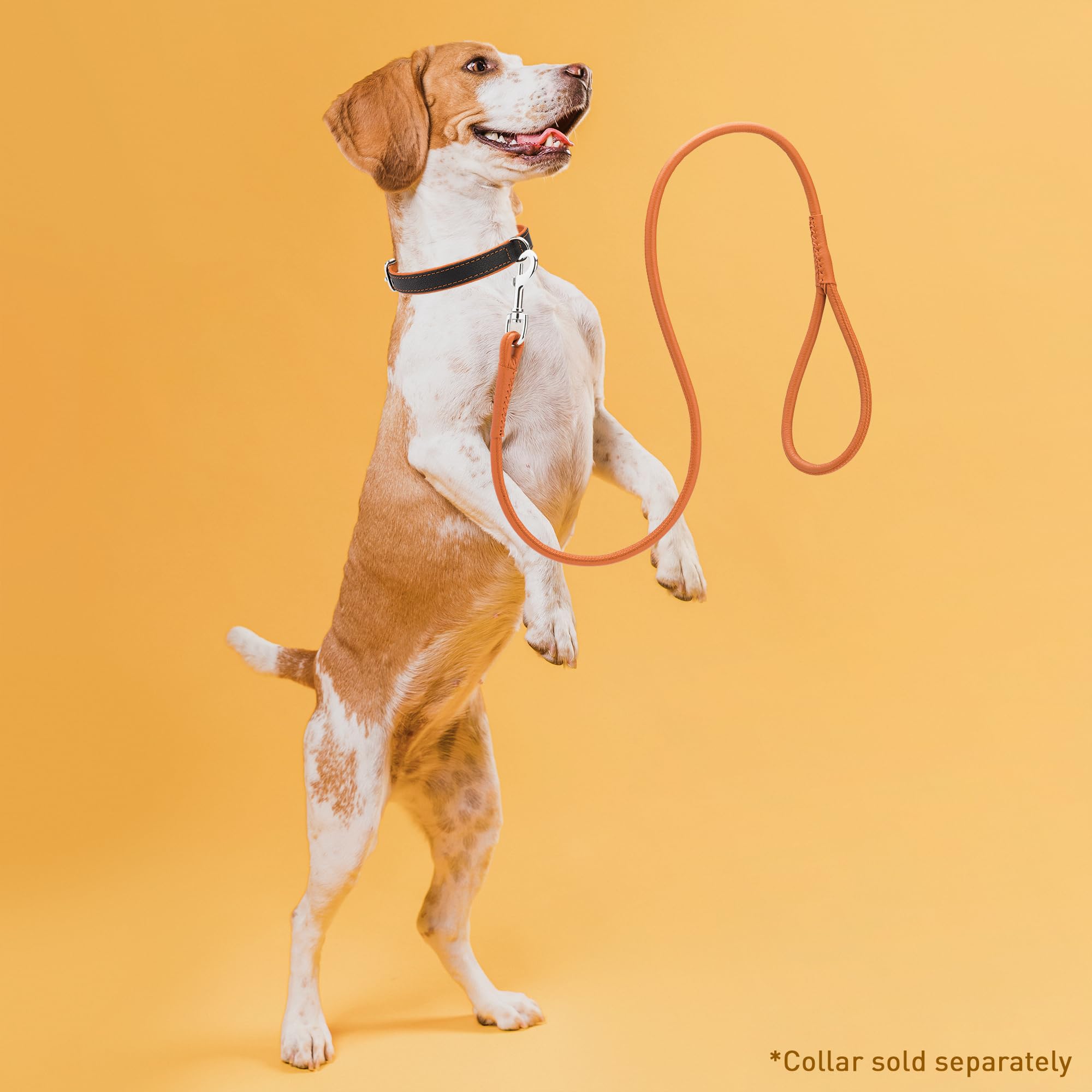 Dogline 3/8-Inch Wide Soft Padded Rolled Round Leather Dog Leash Lead, 4-Feet, Orange
