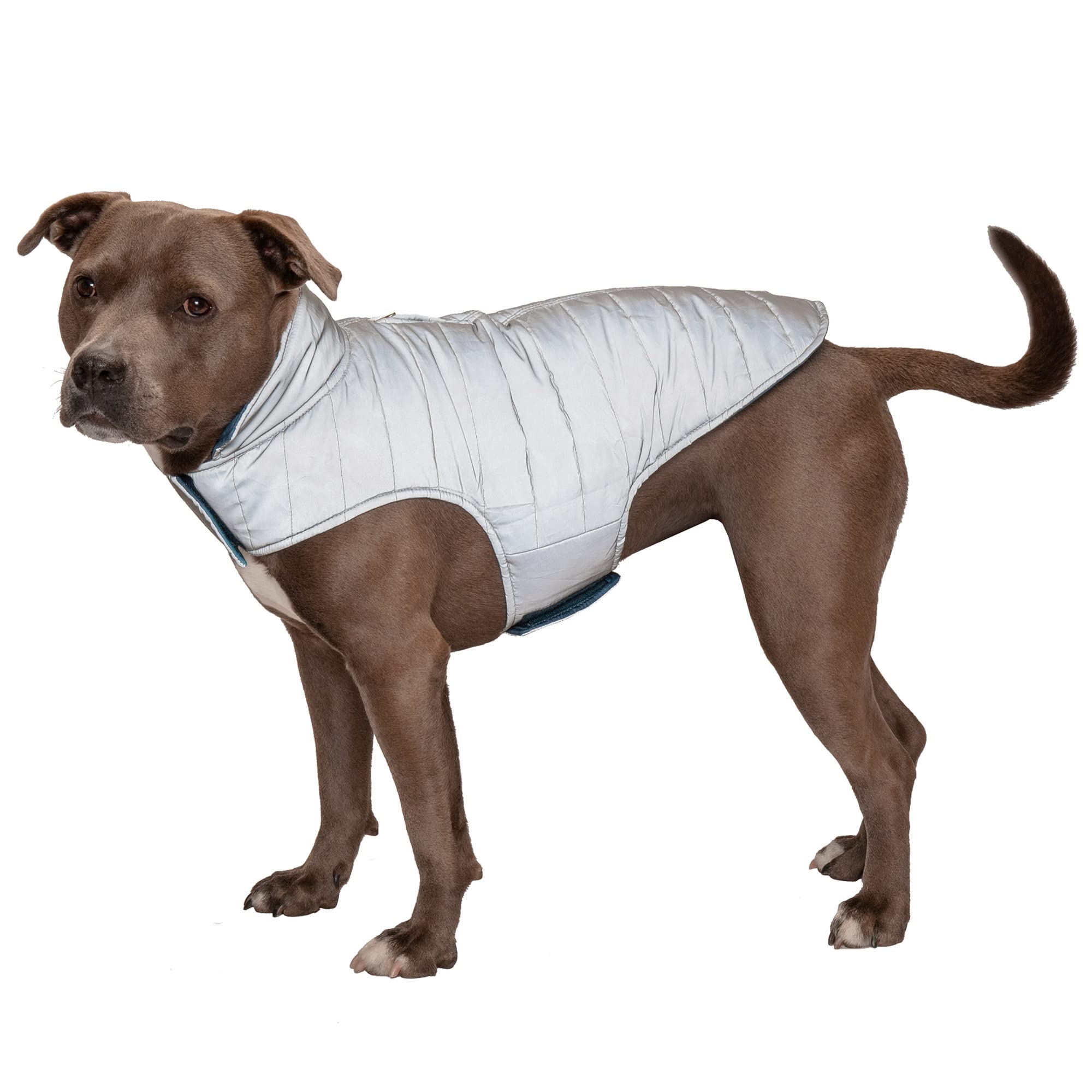 Furhaven Water-Repellent & Reversible Medium Dog Coat, Washable & Reflective w/ Leash Access, Pocket, & Carry-On Purse - Puffer