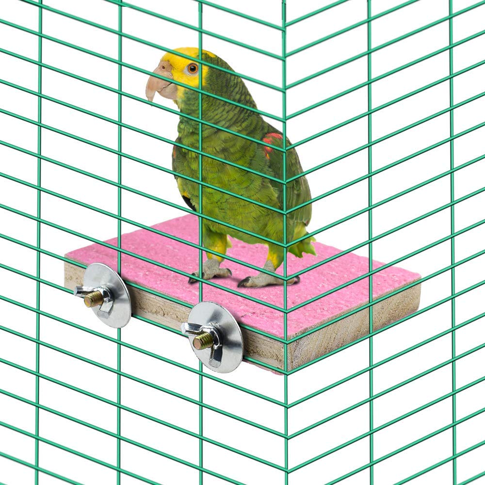 Hamiledyi 6 Pcs Bird Perch Stand Toy Wood Parrot Paw Grinding Stick Perch Stand Platform Parakeet Cage Accessories Exercise Toys For Budgies Cockatiel Conure