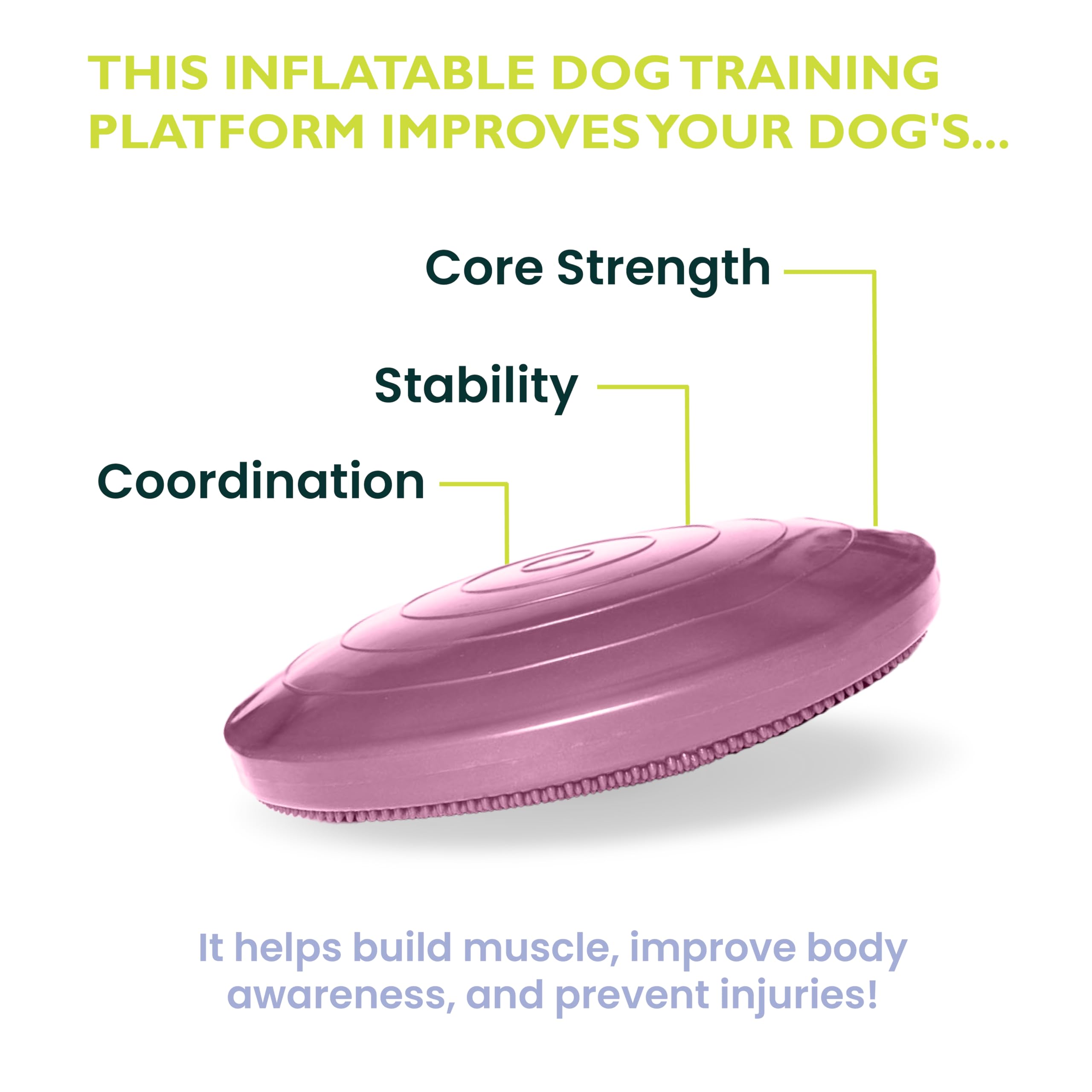 Fitpaws® Dog Balance Disc – 22”, Razzleberry | Dog Exercise Equipment | Workout Tool For Strength, Core, Stability & Rehabilitation
