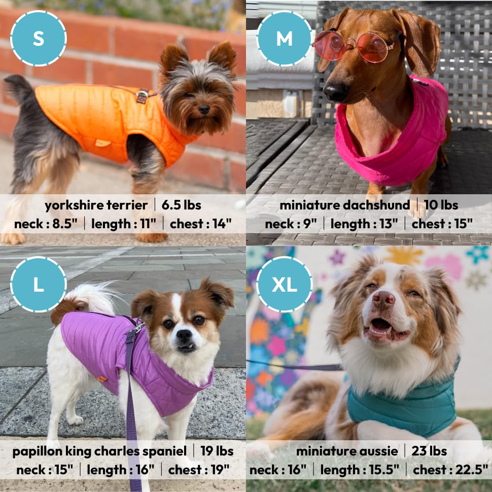 Gooby Puffer Vest Dog Jacket, X-Large, Turquoise - Ultra Thin Wind Breaker, Water Resistant, Dual D Ring Leash for Small Dogs