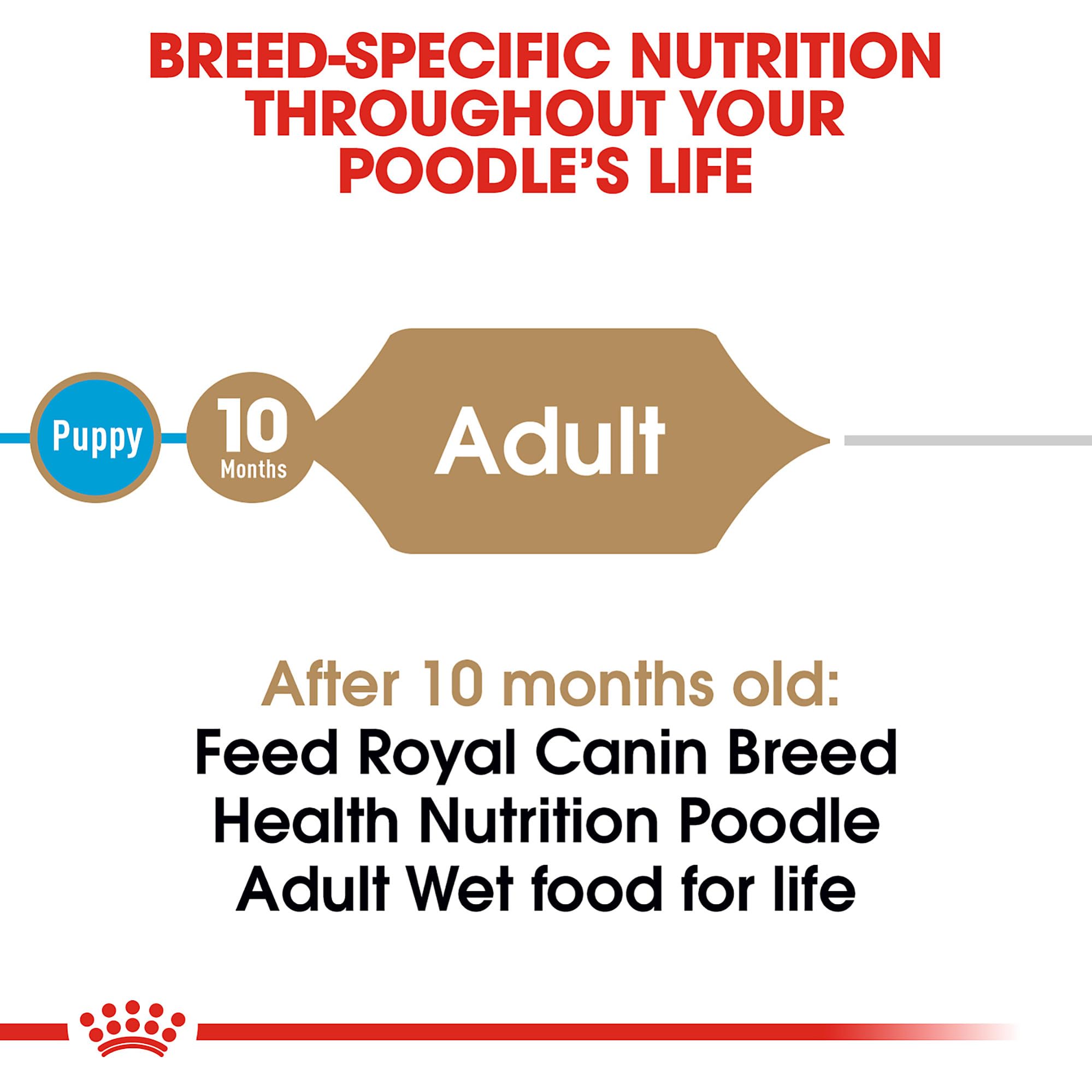 Royal Canin Poodle Adult Breed Specific Wet Dog Food, 3 oz can 4-pack