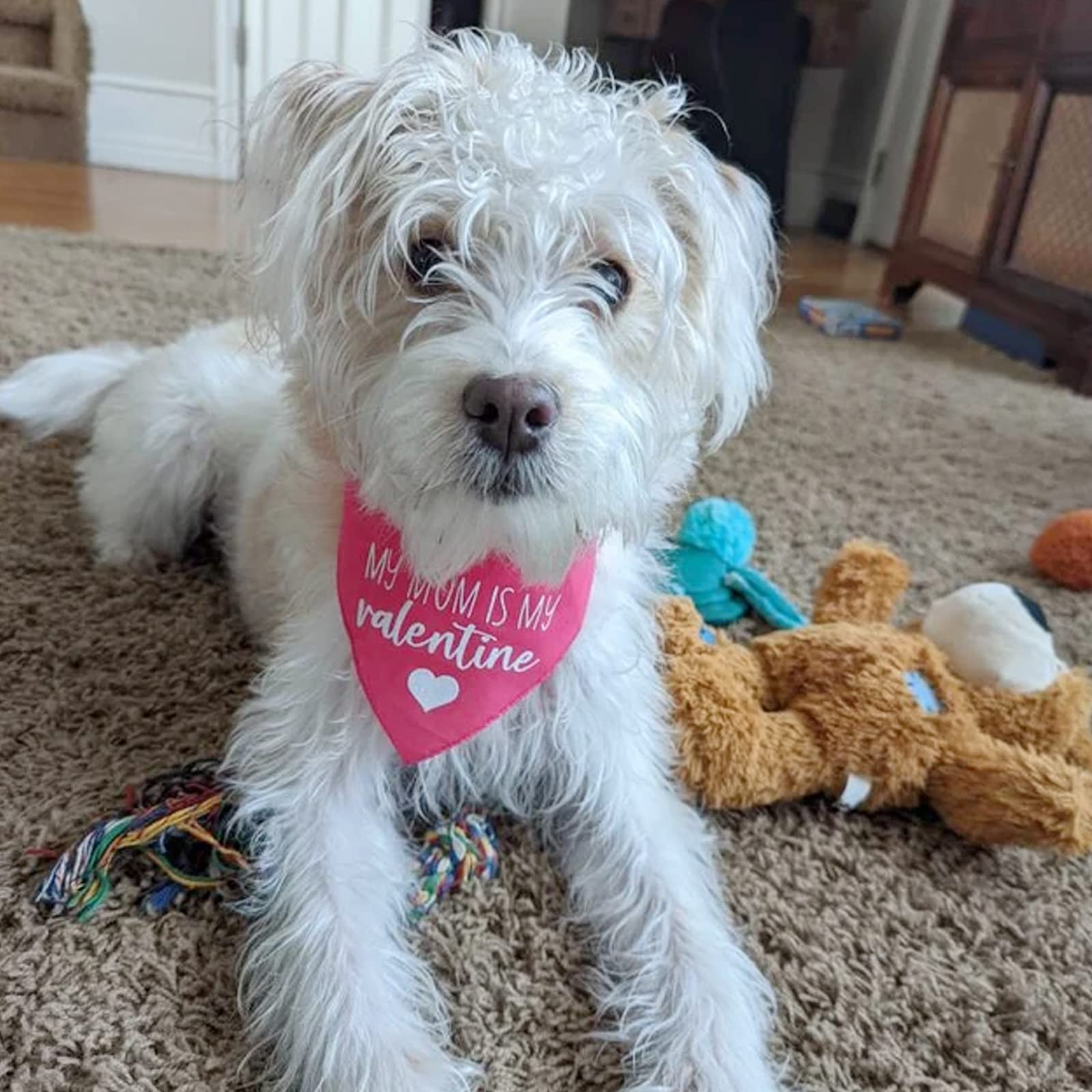 Valentines Day Dog Bandanas - My Mom Is My Valentine Dog Scarf - 2 Pcs Adjustable Party Triangle Reversible Pet Bandanas For Small Medium Large Dogs