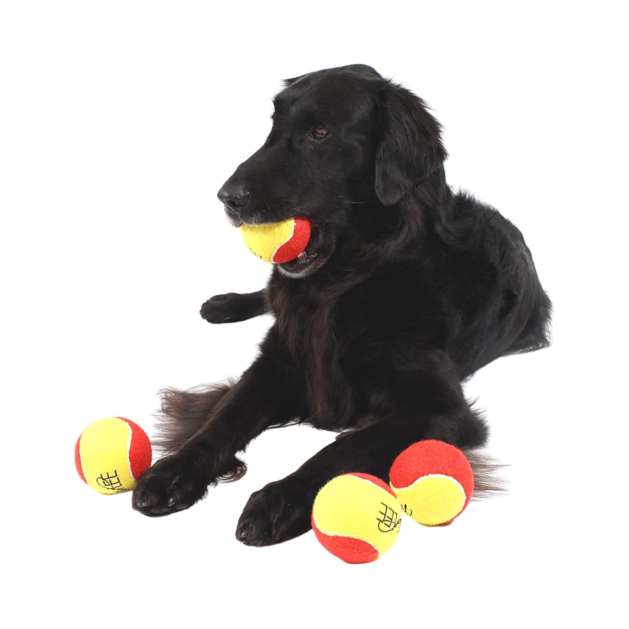 Midlee 3 Inch Durable Rubber Tennis Balls for Dogs, Pack of 4, Multicolored