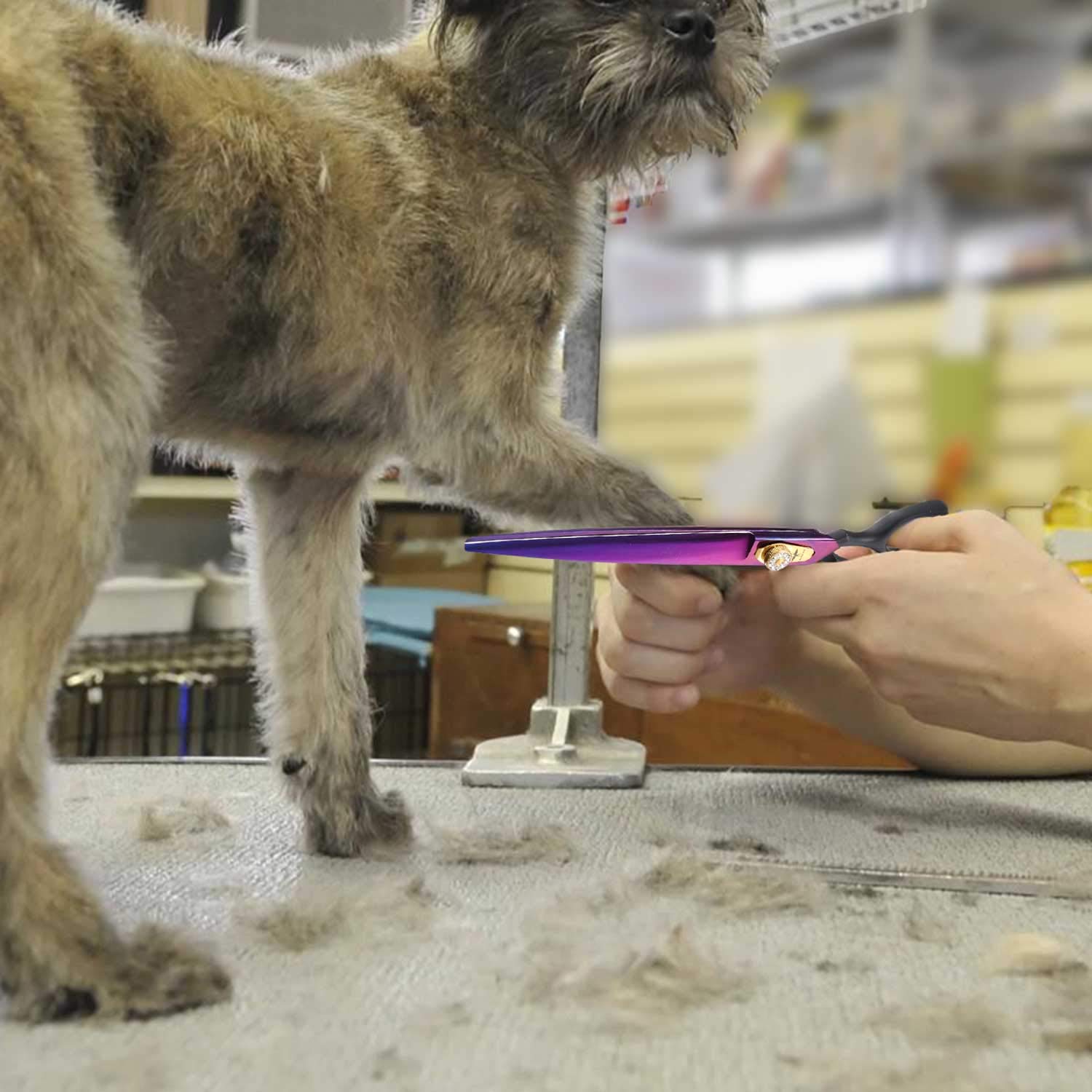 Purplebird 8 Inch Straight Dog Grooming Scissors Professional Pet Cutting Shears Safety Noiseless Blunt Tip Trimming Shearing For Dogs Cats Japanese Stainless Steel Purple