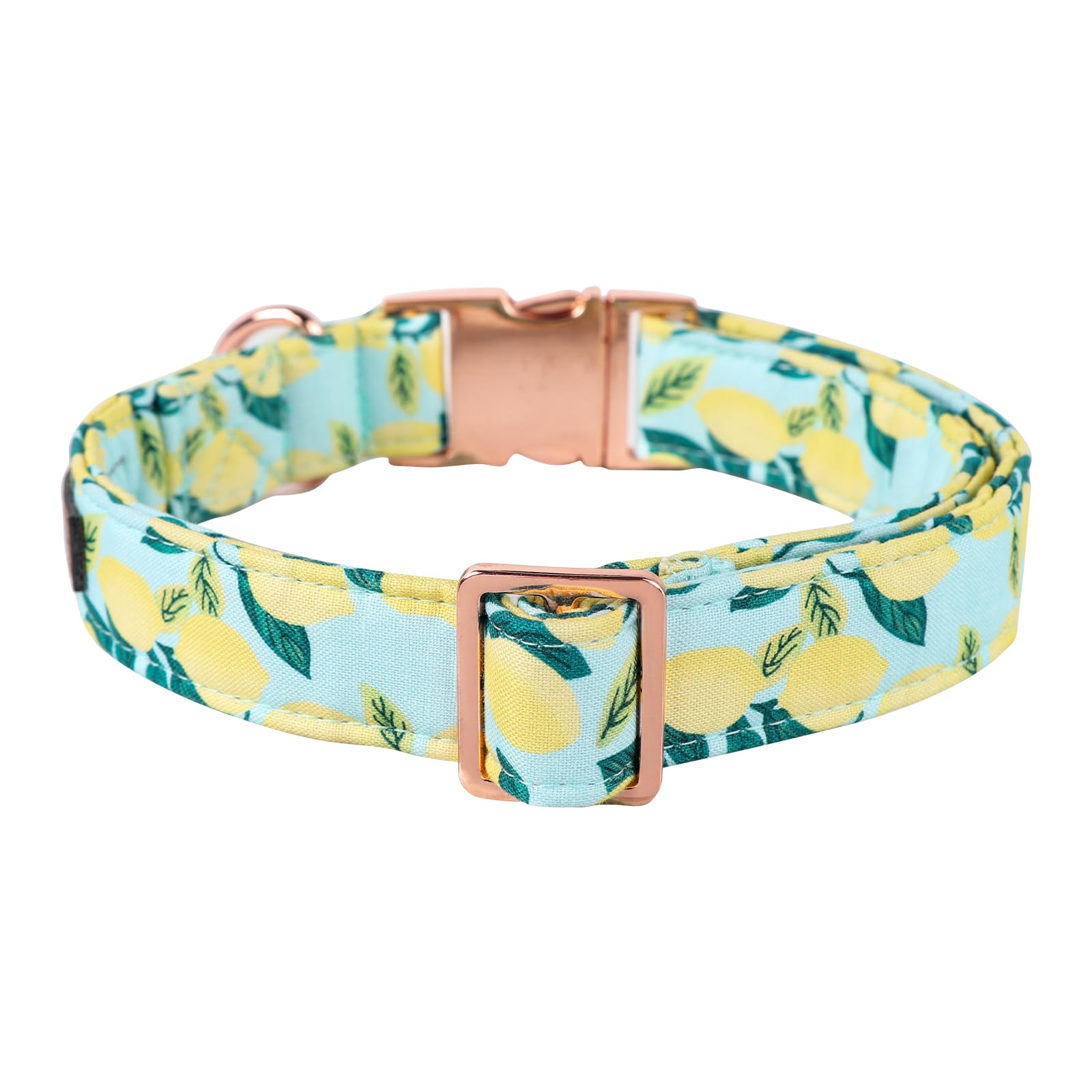 Mr. Chubbyface Spring Summer Dog Collar, Cute Green Lemon Dog Collars, Adjustable Durable Soft Natural Fabric Pet Collar For Sma