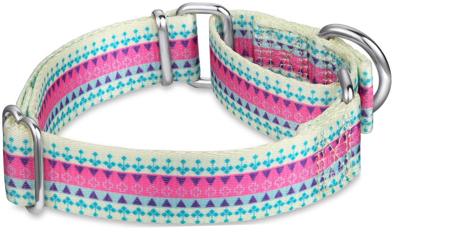 Dazzber Martingale Collar Floral Print Dog Collar, No Pull Pet Collar, Heavy Duty Adjustable Dog Collar, Medium, Neck 14 Inch To