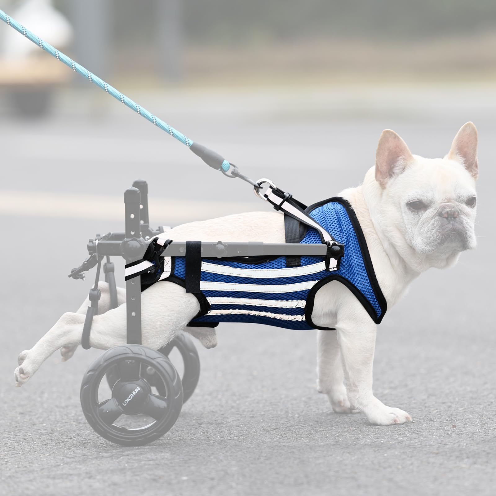 Lokshun Dog Wheelchair Harness for Back Legs, Dog Wheelchair Replacement Accessories, Breathable Soft Clothes for Dogs