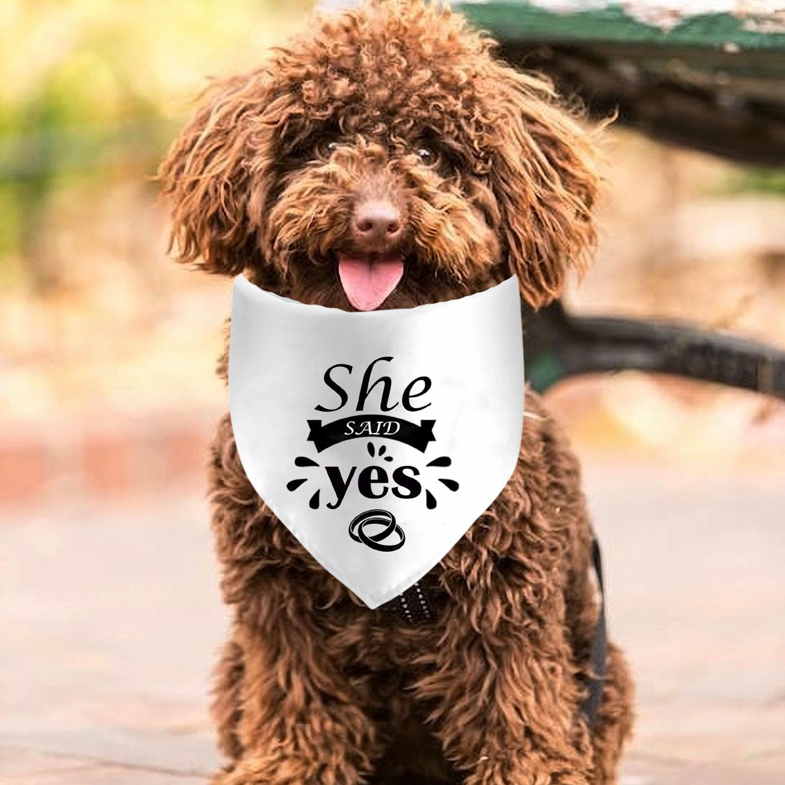 She Said Yes Dog Bandanas, Wedding Dog Scarf, Engagement Announcement Pet Scarf Accessories, Adjustable Dog Bandanas For Small M