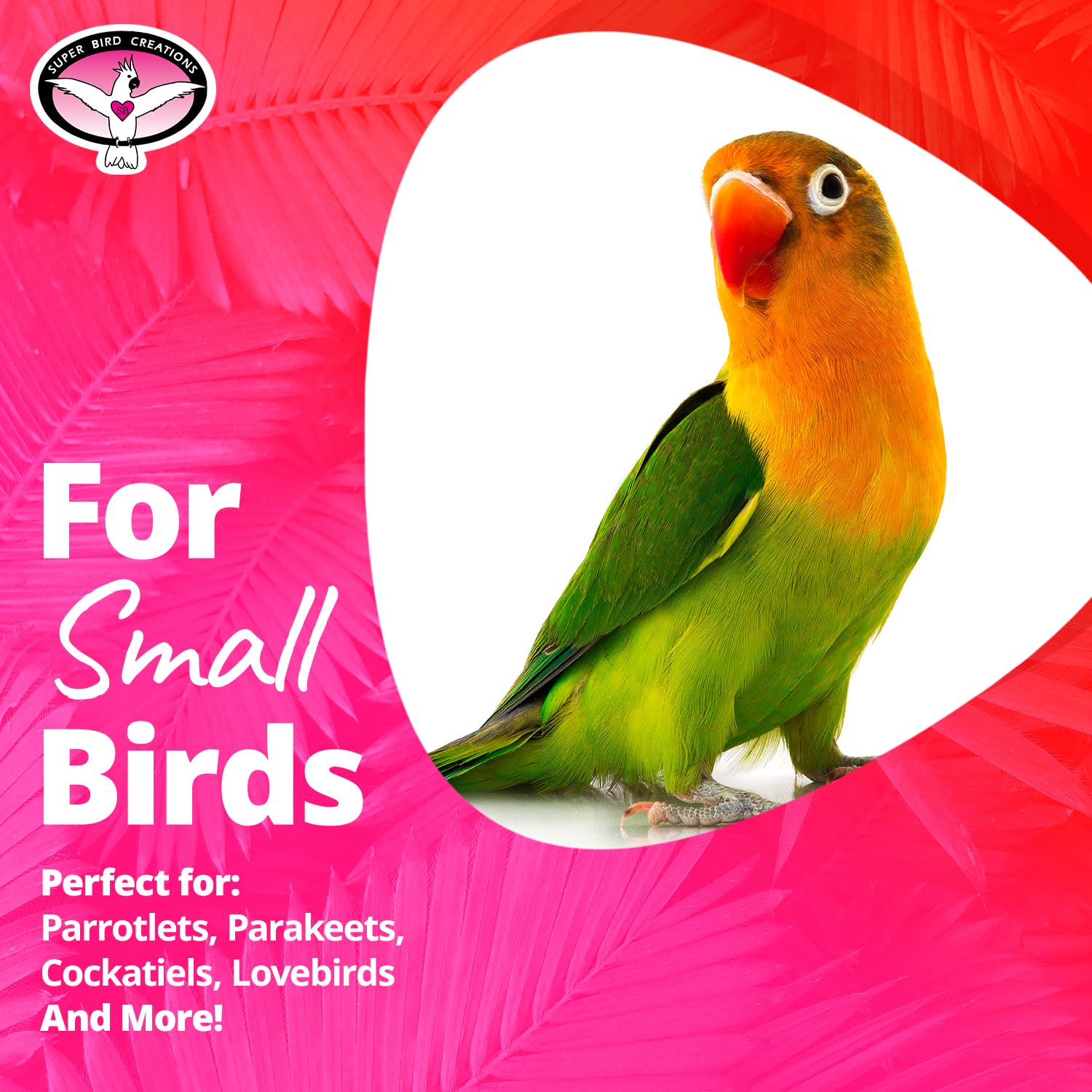 Super Bird Creations Sb370 Vine Ball Arch Bird Toy, Small Bird Size, 7.5' X 7.5'