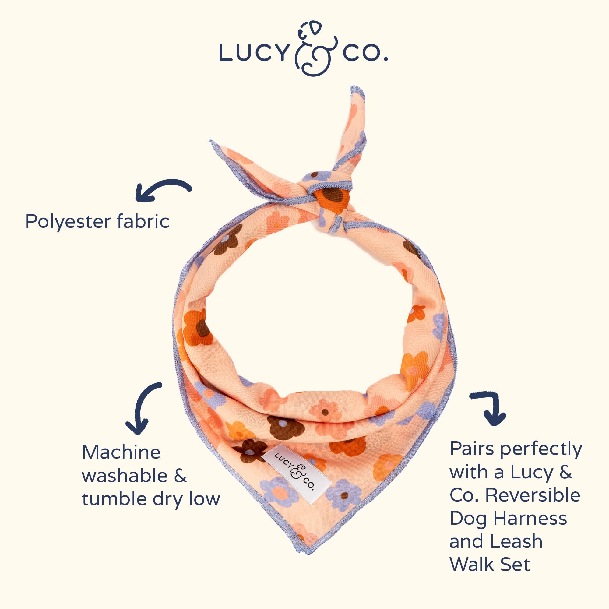 Lucy & Co. Let'S Groove Bandana - Durable Comfortable Dog Bandana - Machine Washable - Designer Puppy Accessory - Small Purple C