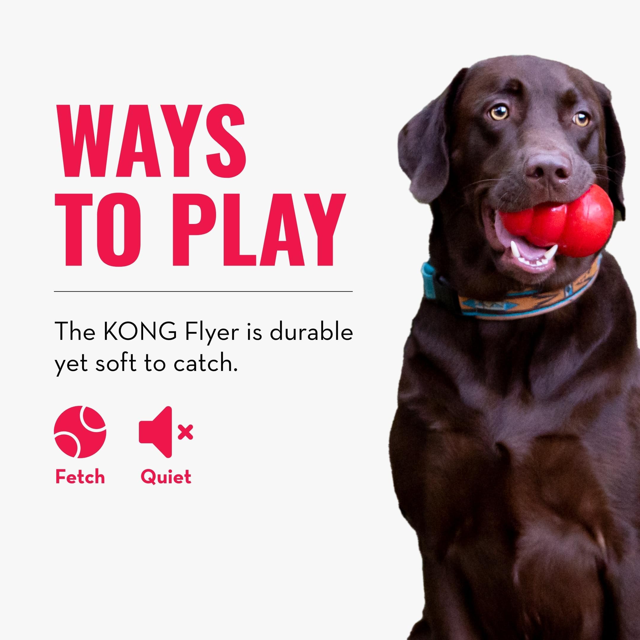 KONG Flyer - Durable Dog Toy for Outdoor Playtime - Natural Rubber Flying Disc, Dog Toy for Fetch - Safer Disc for Healthy Activ