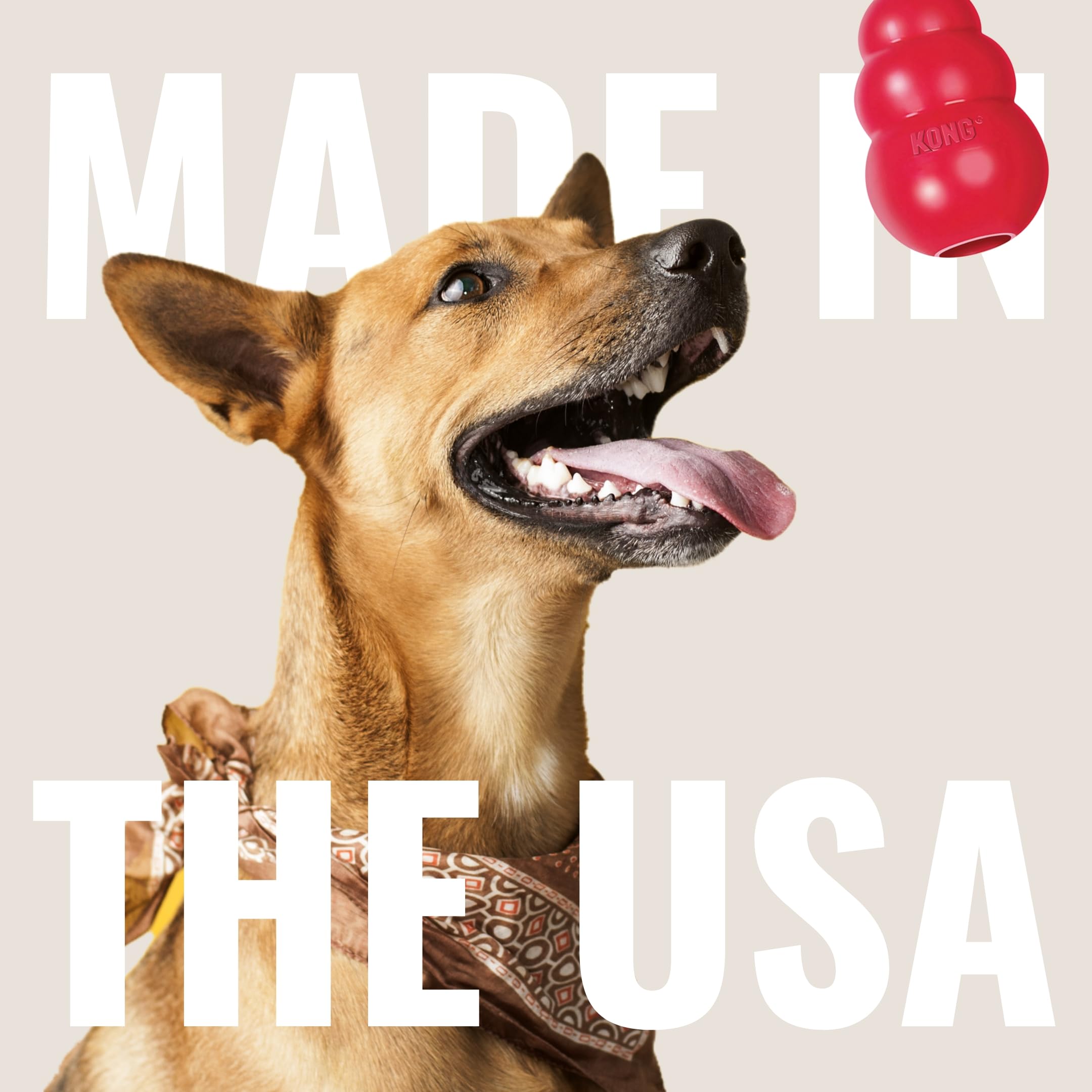 KONG Classic Stuffable Dog Toy & KONG Easy Treat Peanut Butter Spray - Fetch & Chew Toy for Dogs - With Dog Toy Filler Treat - F