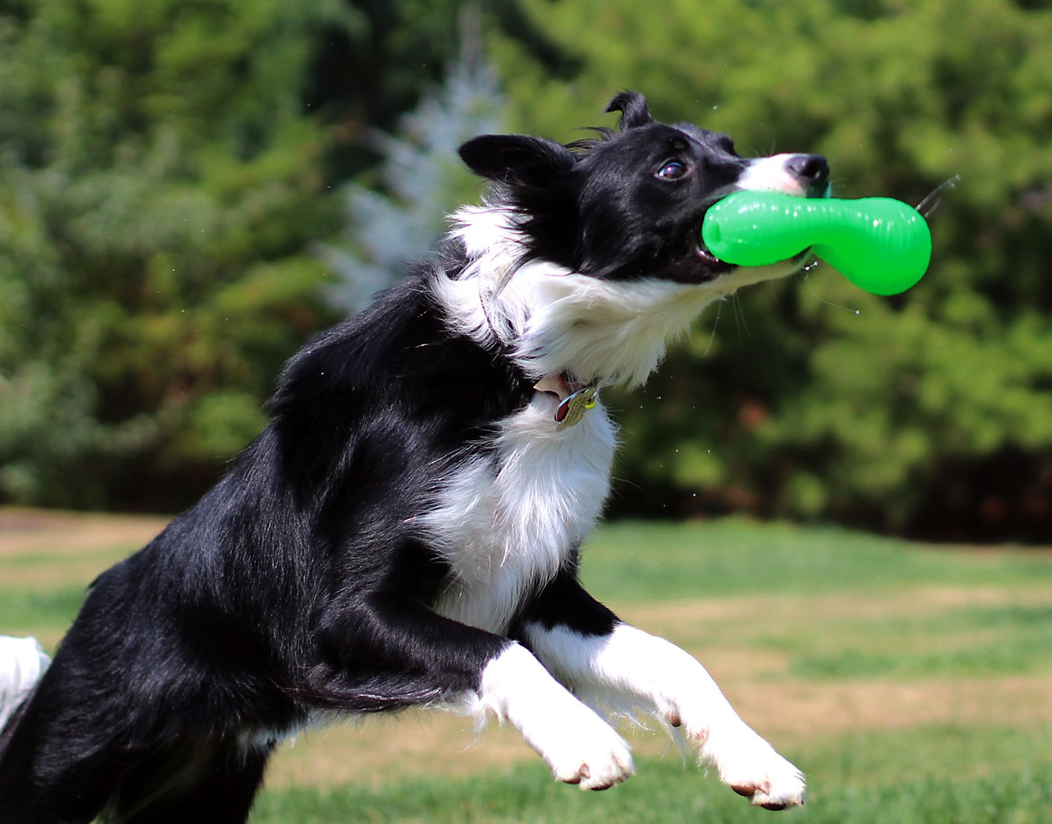 Ruff Dawg Peanut - Floating, Bouncy Fetch Toy for Medium to Large Dogs - Treat-Fillable & Interactive for Outdoor Play, Teething