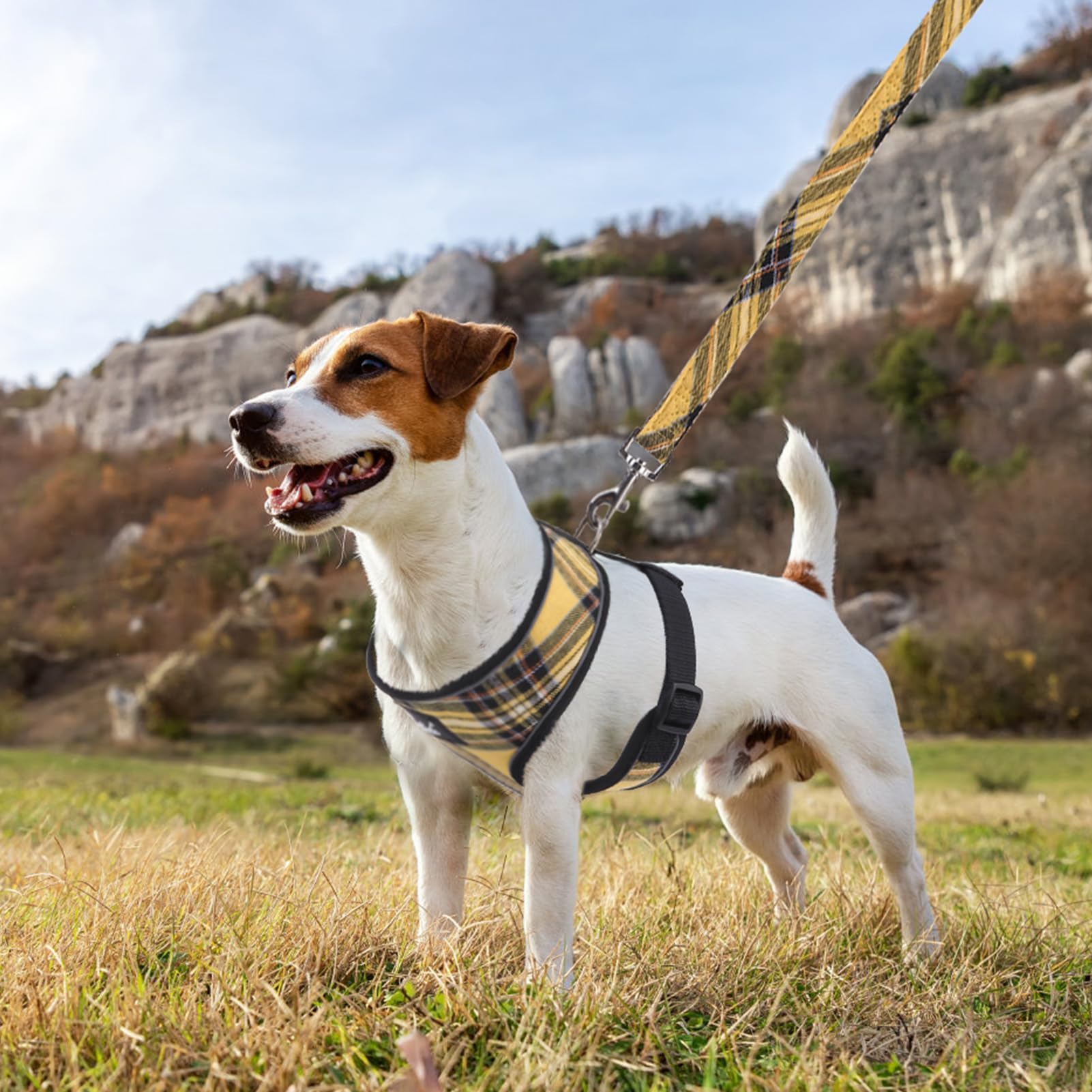 Pupteck Soft Mesh Dog Harness And Leash Set Pet Puppy Cat Comfort Padded Vest No Pull Harnesses, Yellow, S