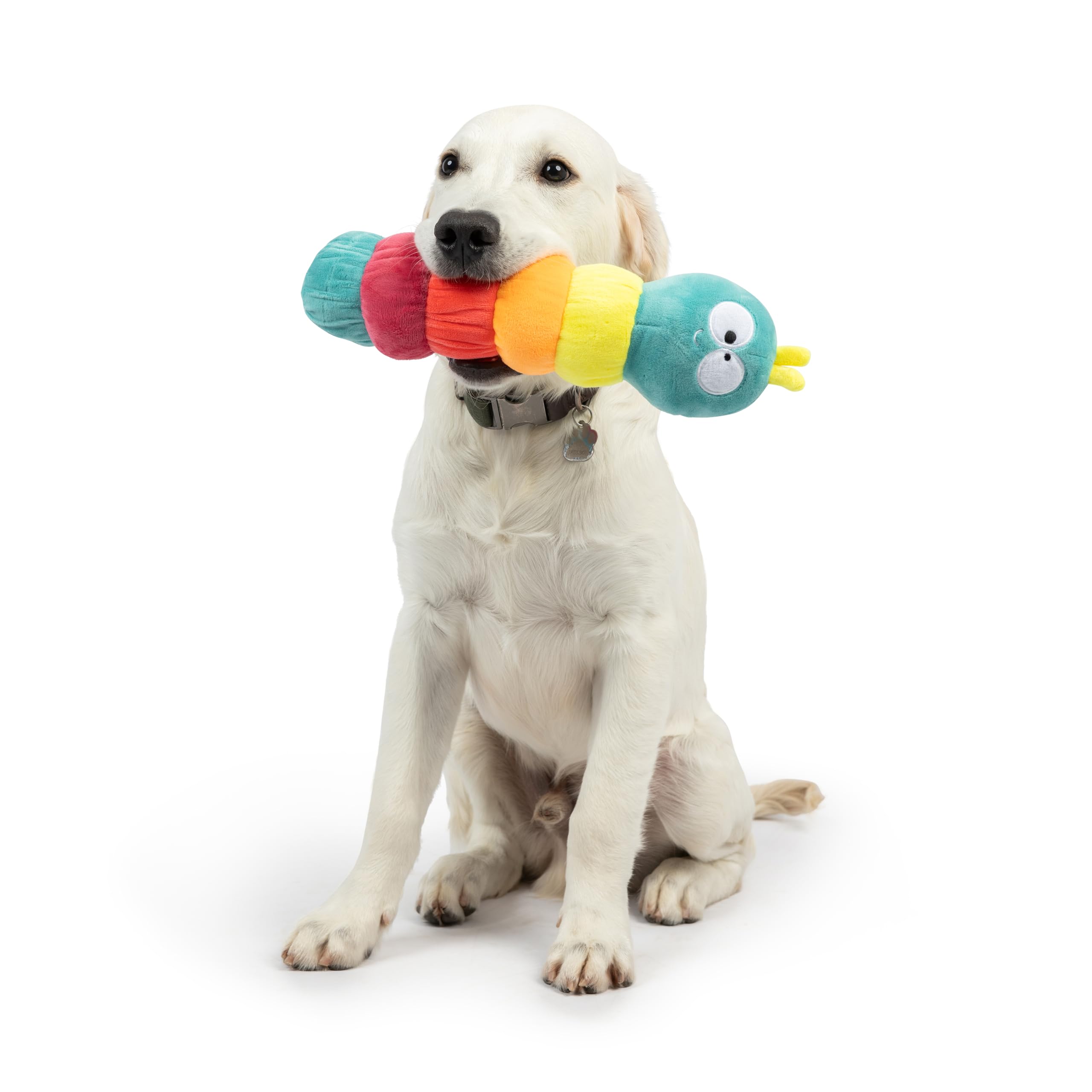 Huxley & Kent For Dogs - Fetchies Caterpillar (Small) - Power Plush Pup Toy With Squeaker - Gift For Pets - Fun, Durable - H&K S