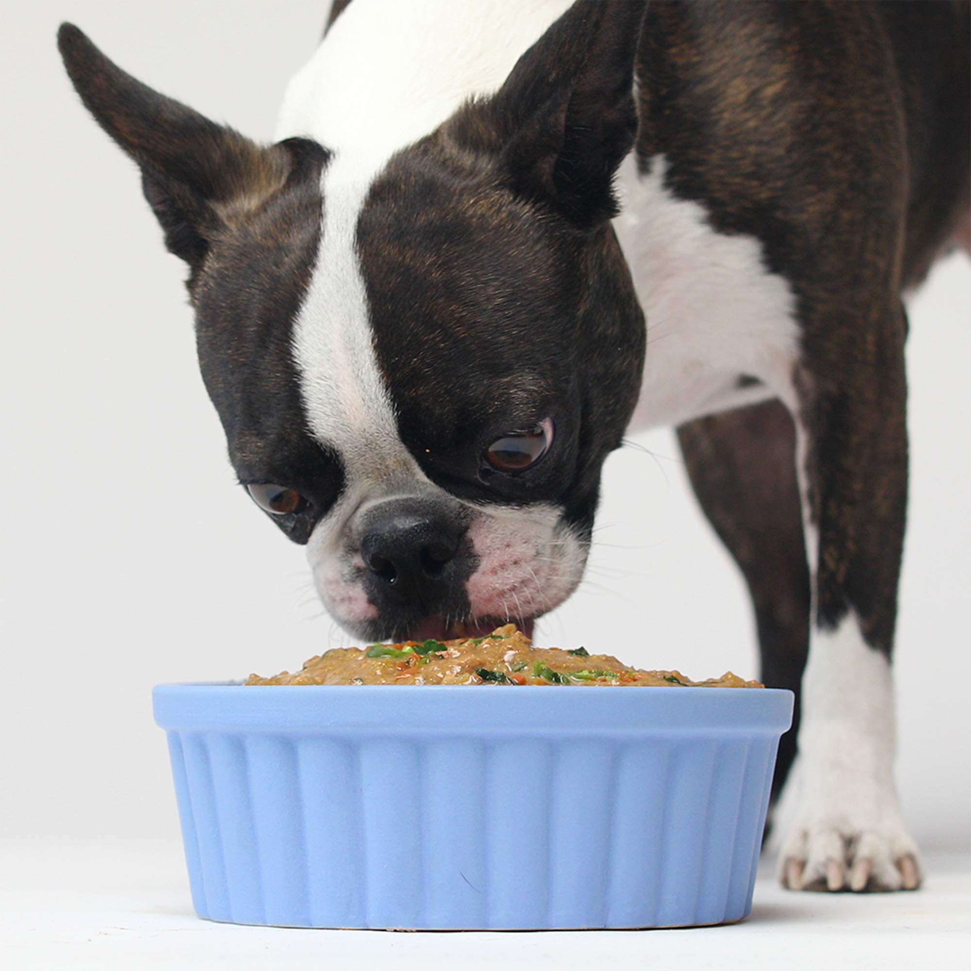 Open Farm Herring & Mackerel Rustic Stew Wet Dog Food, Grain-Free Meal or Food Topper with Responsibly Sourced Meat and Superfoo