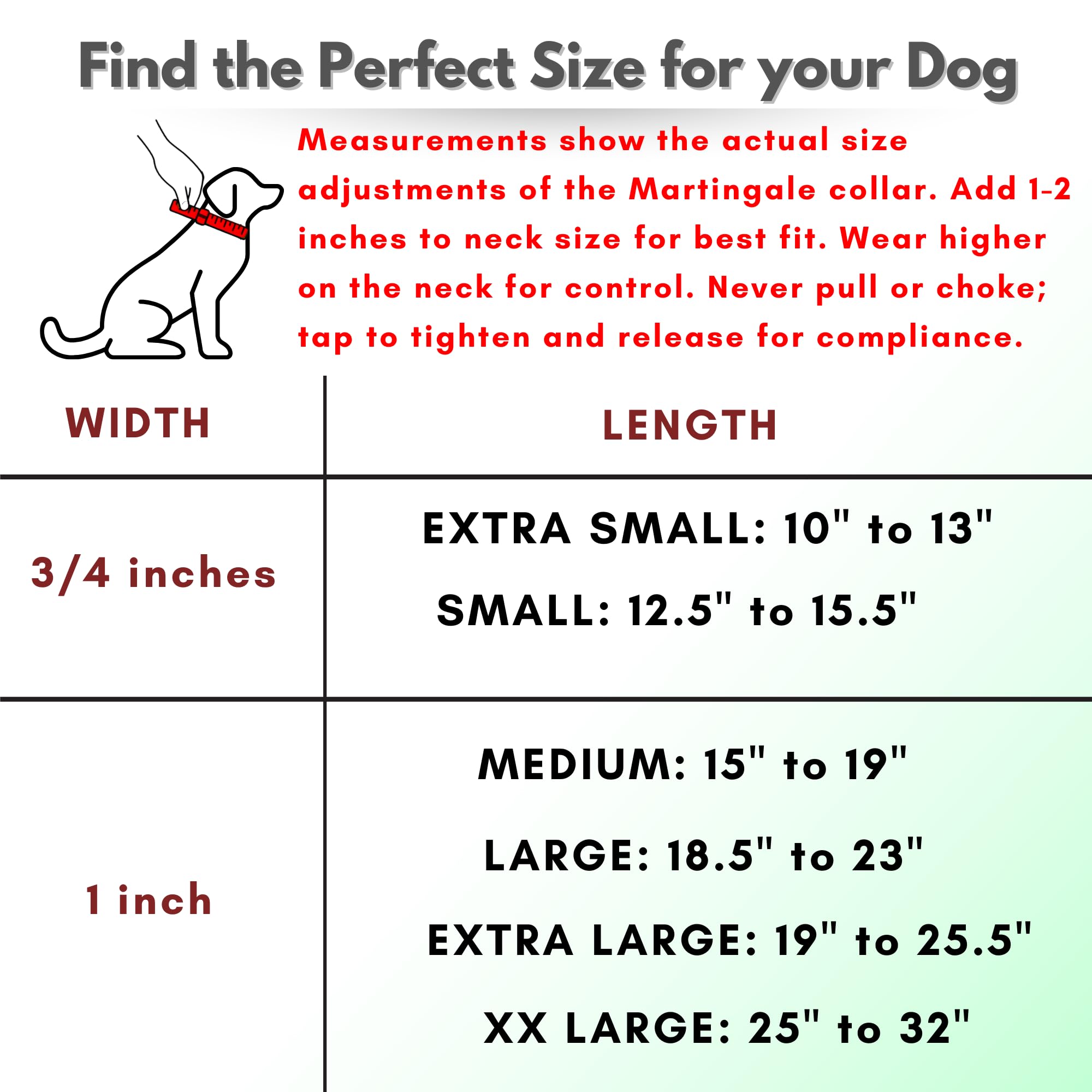 Jim Hodges Dog Training Martingale Collar For Dogs, Biothane, Stainless Steel Hardware, No Pull, Made In The Usa, Professional G