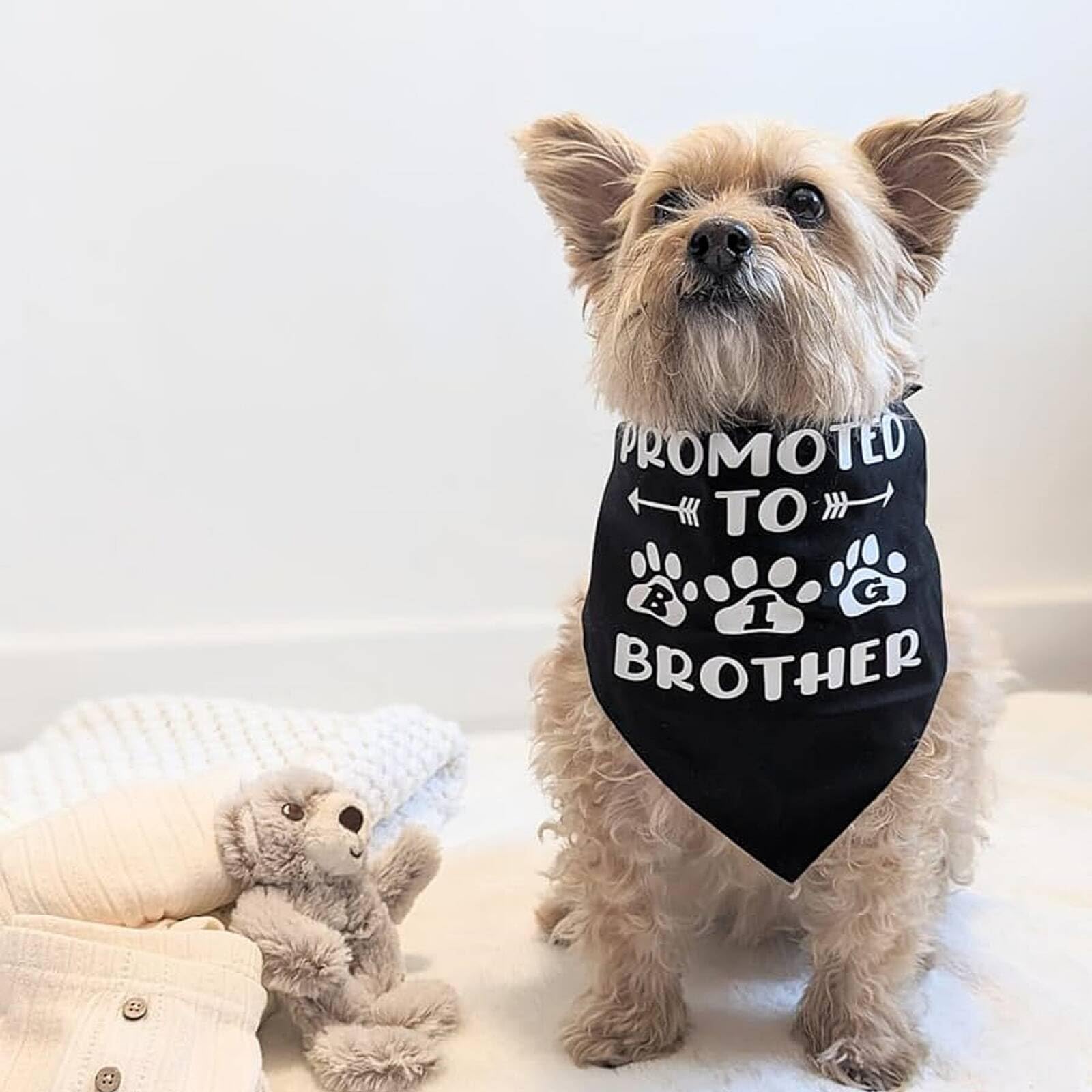Gofshy Blank Dog Bandanas Small -1Pcs, Diy Solid Black Triangle Scarf Premium Cotton Handkerchief Or Bib, Personalized Design Bi